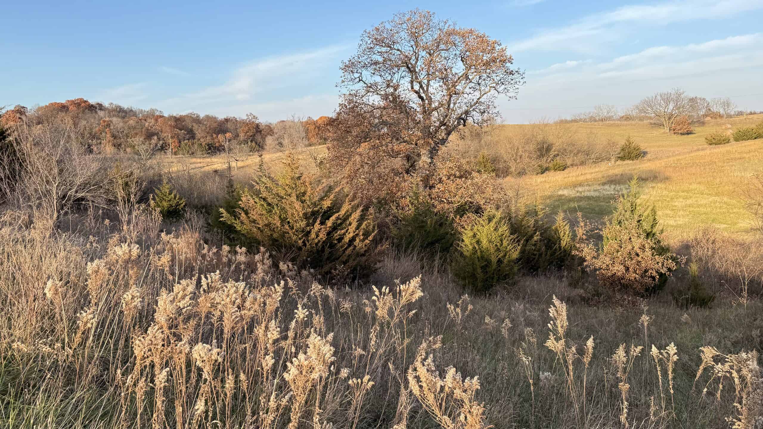 Dekalb County, Missouri • 57 Acres m/l