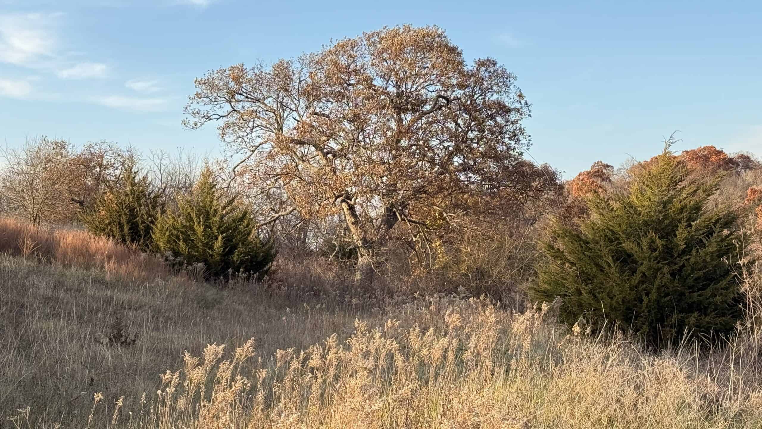 Dekalb County, Missouri • 57 Acres m/l