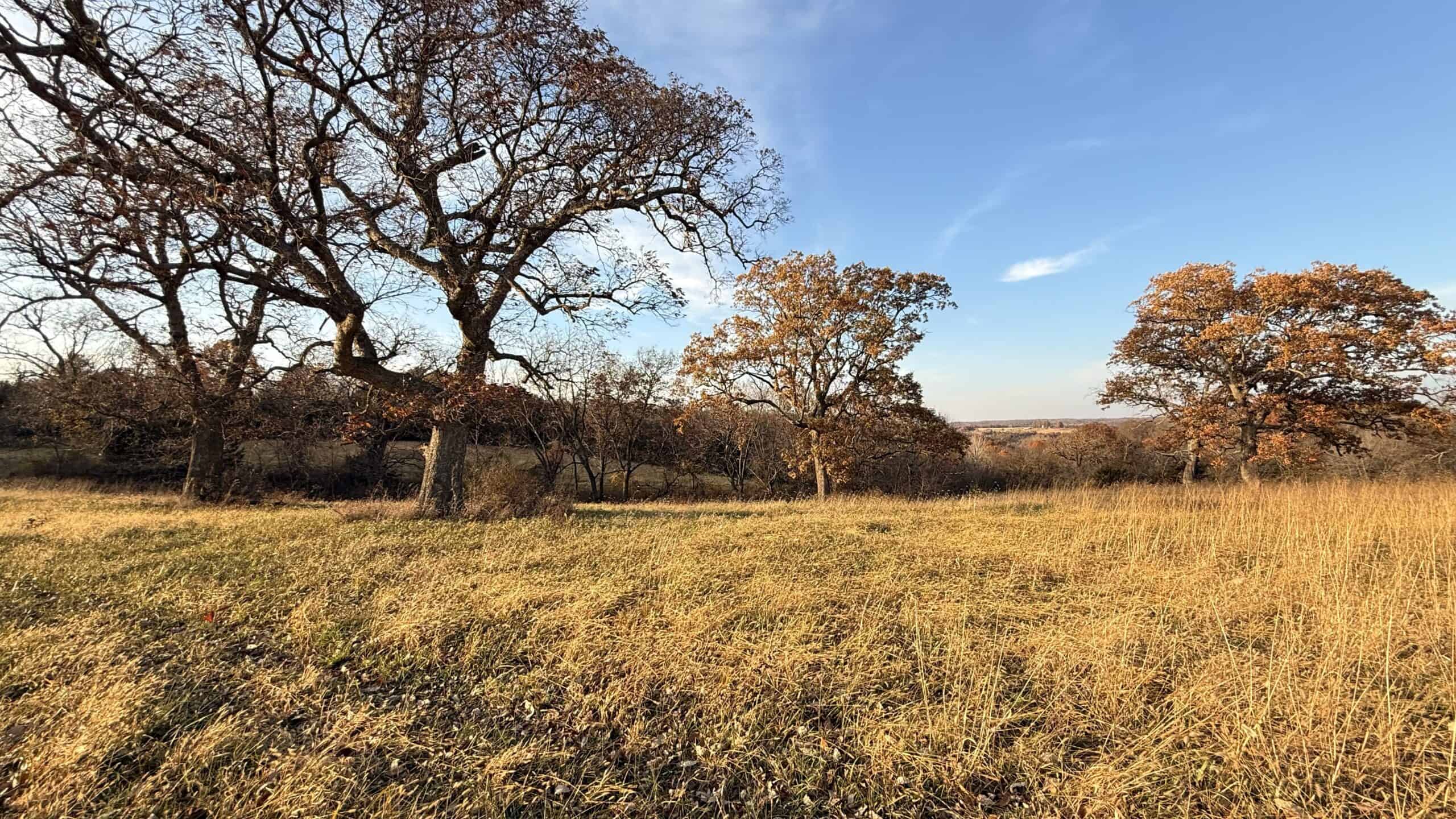 Dekalb County, Missouri • 57 Acres m/l