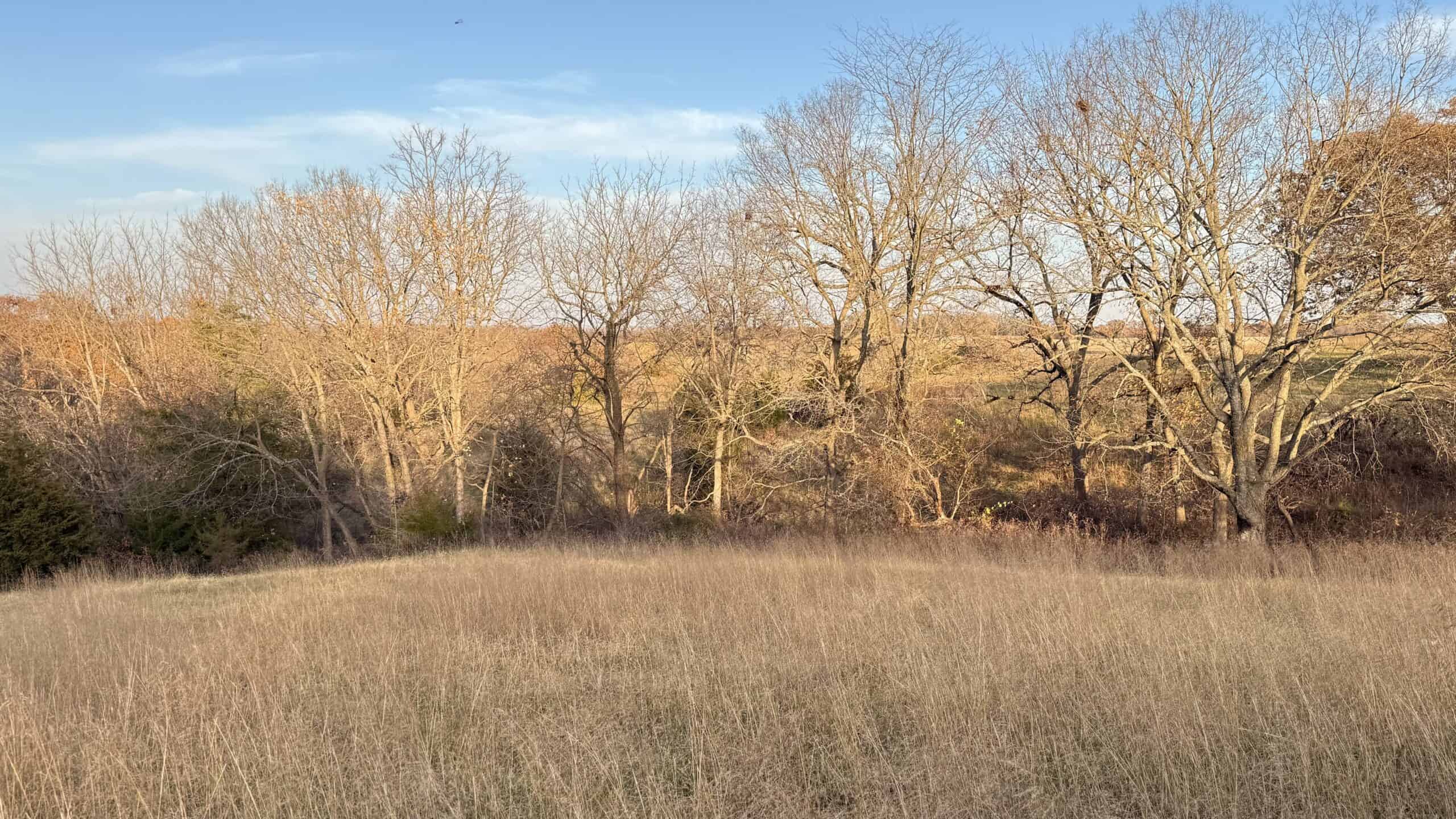 Dekalb County, Missouri • 57 Acres m/l