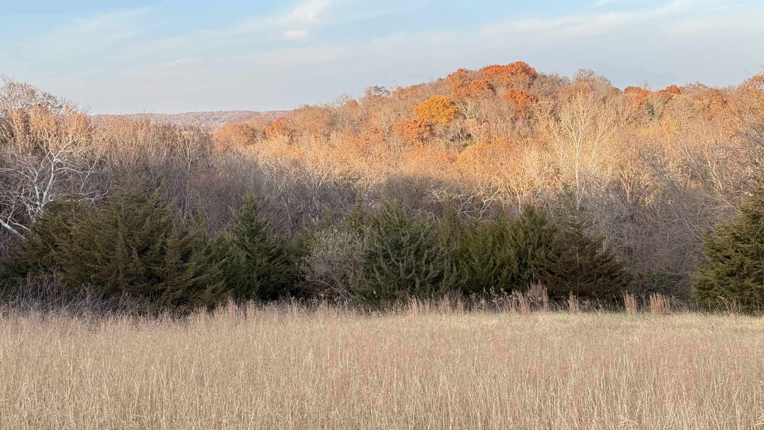 Dekalb County, Missouri • 57 Acres m/l