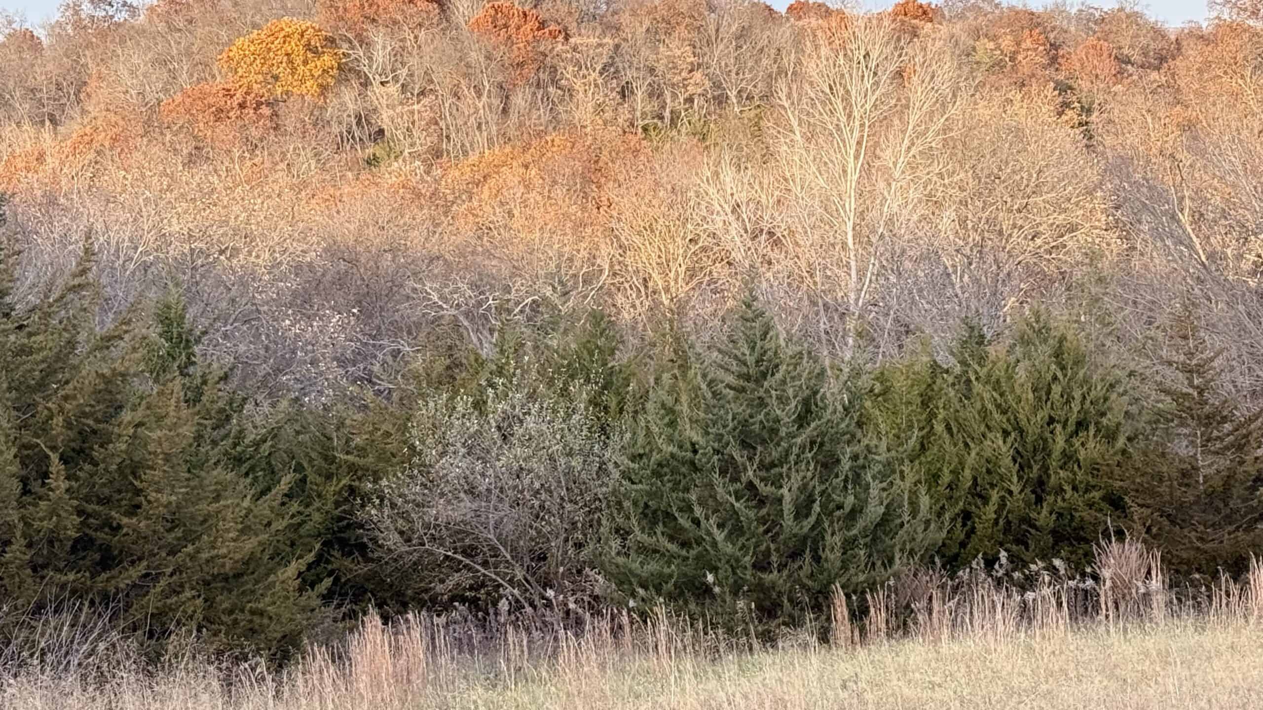 Dekalb County, Missouri • 57 Acres m/l