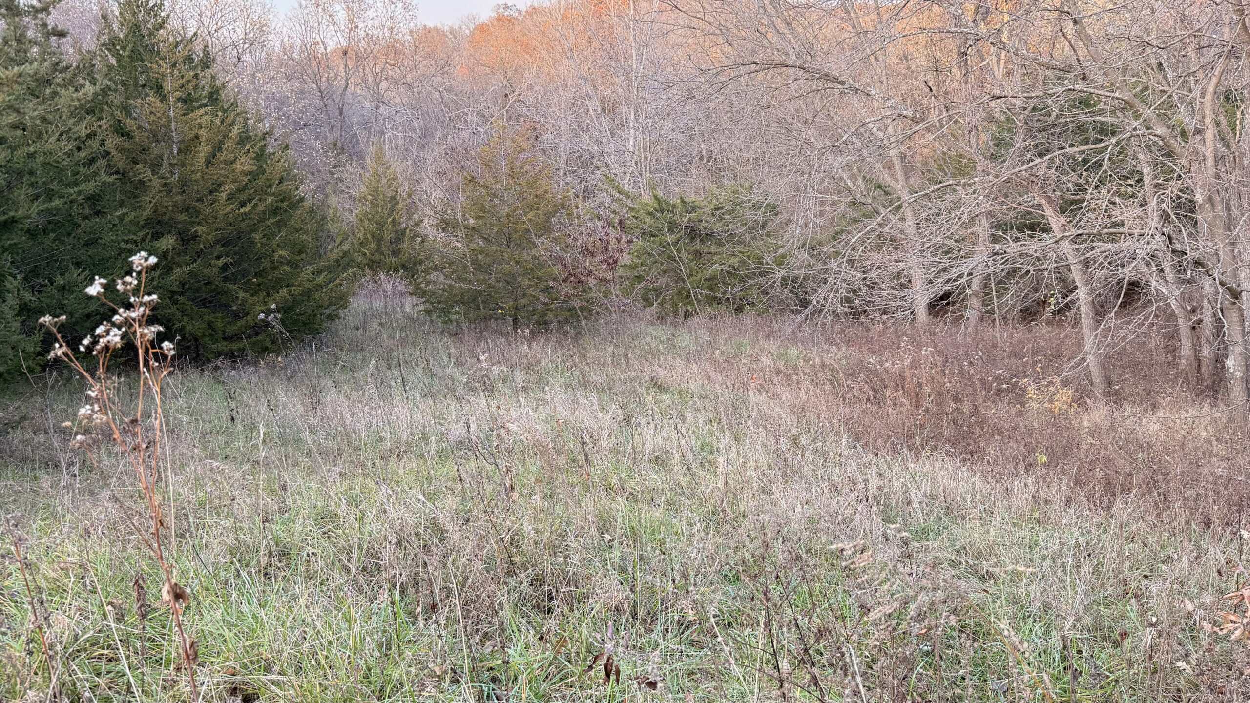 Dekalb County, Missouri • 57 Acres m/l