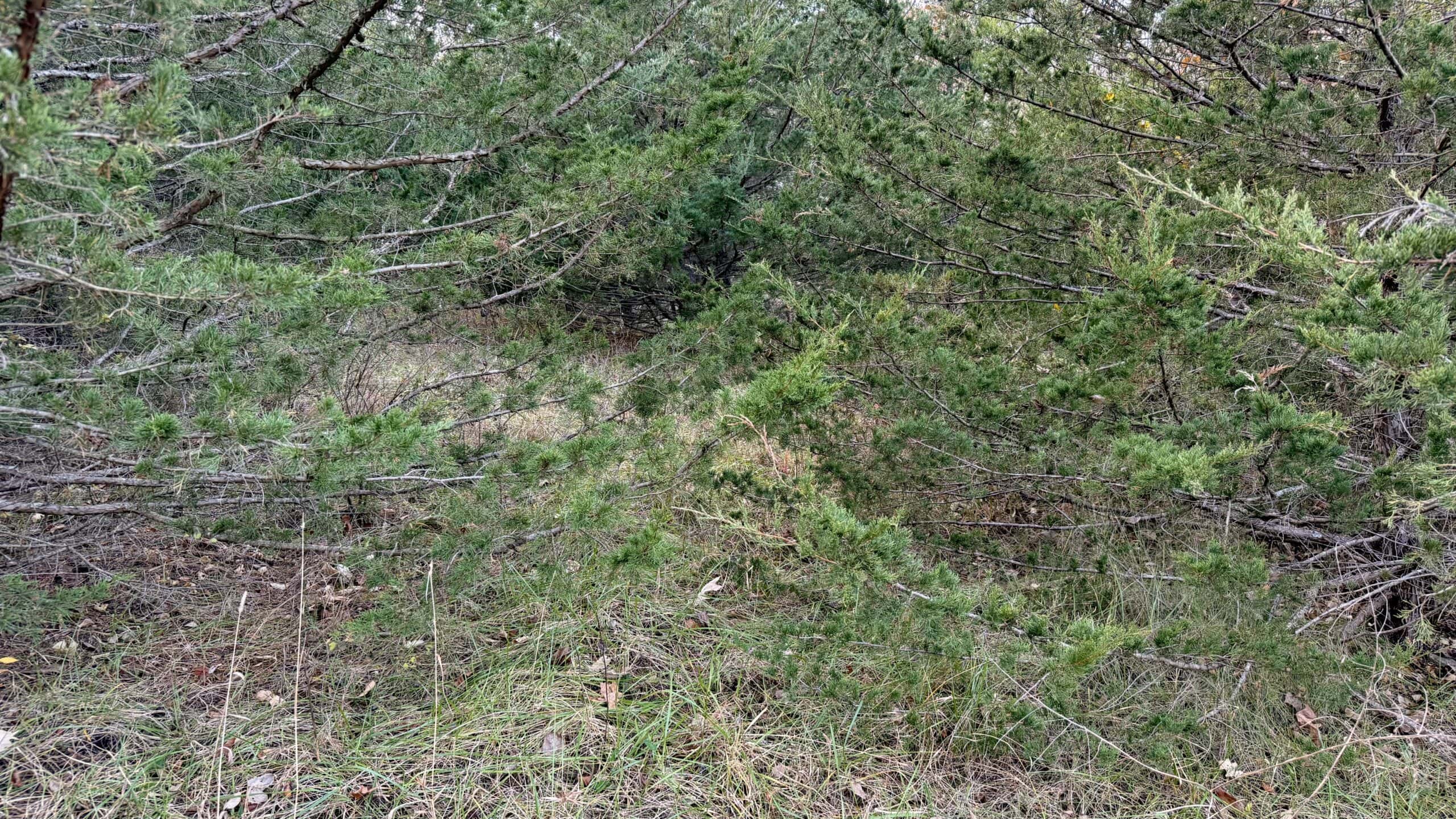 Dekalb County, Missouri • 57 Acres m/l