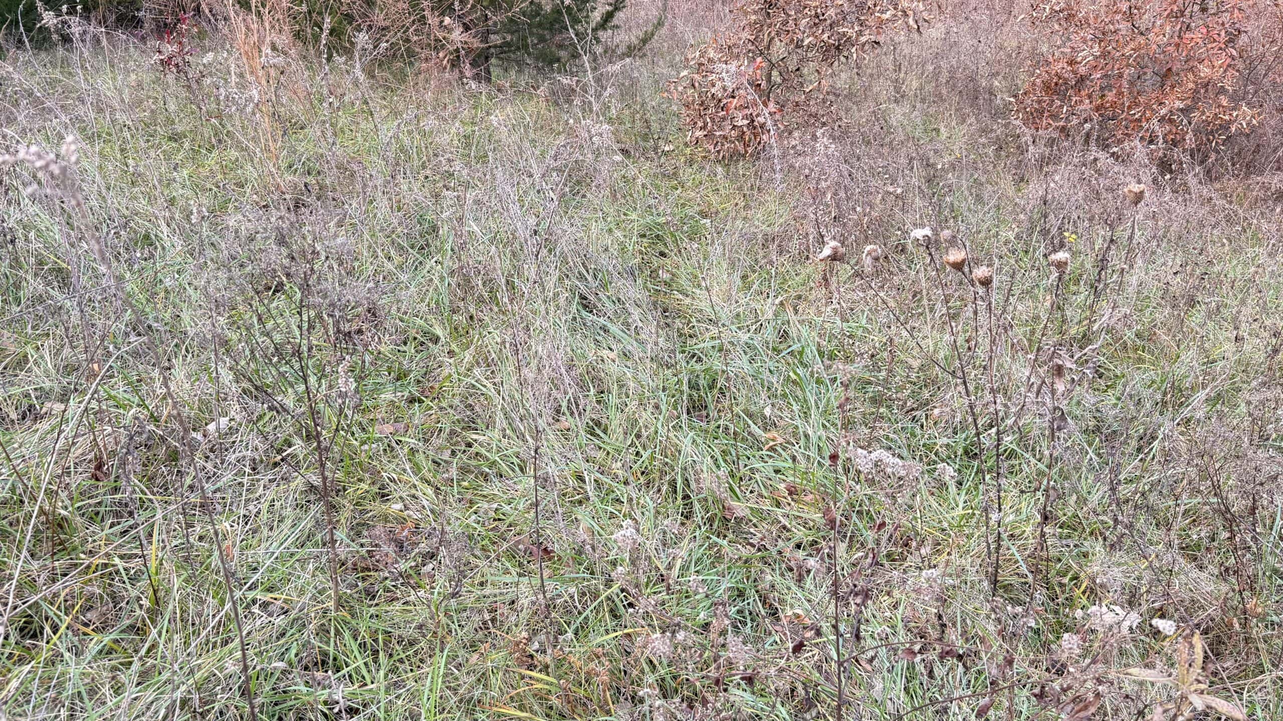 Dekalb County, Missouri • 57 Acres m/l