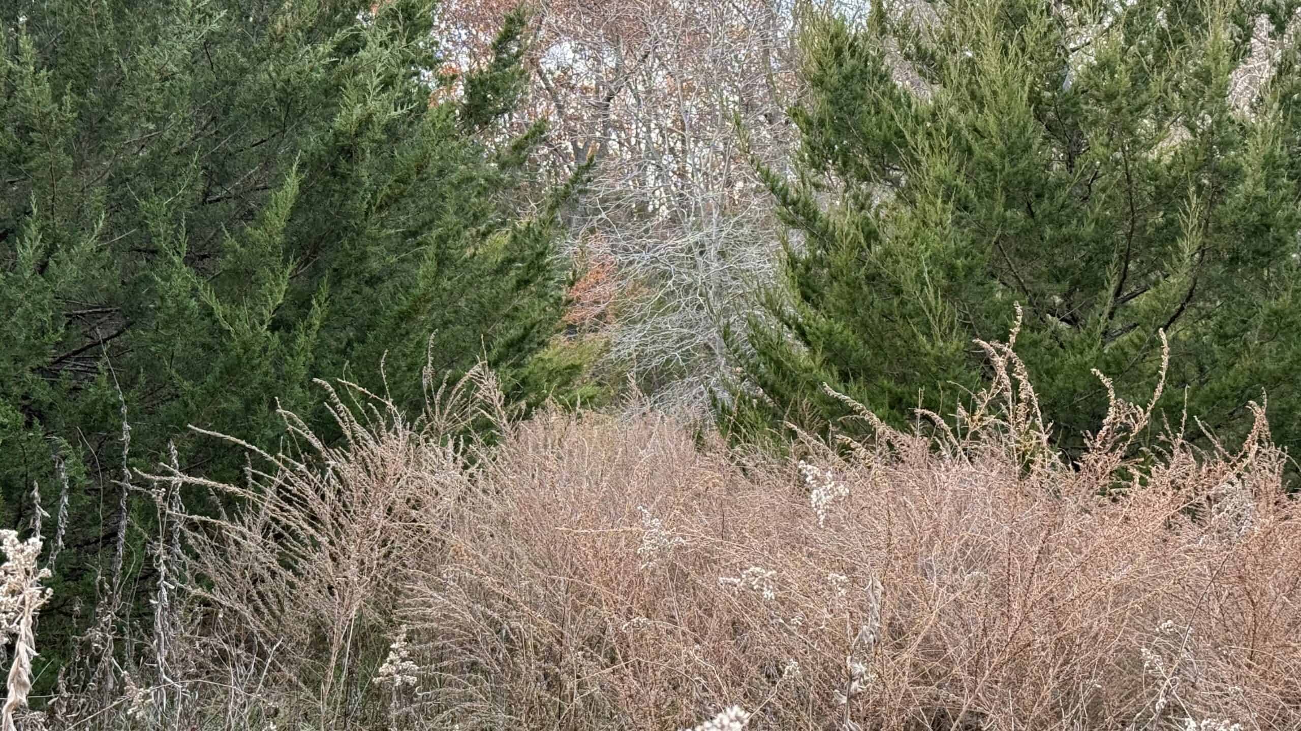 Dekalb County, Missouri • 57 Acres m/l