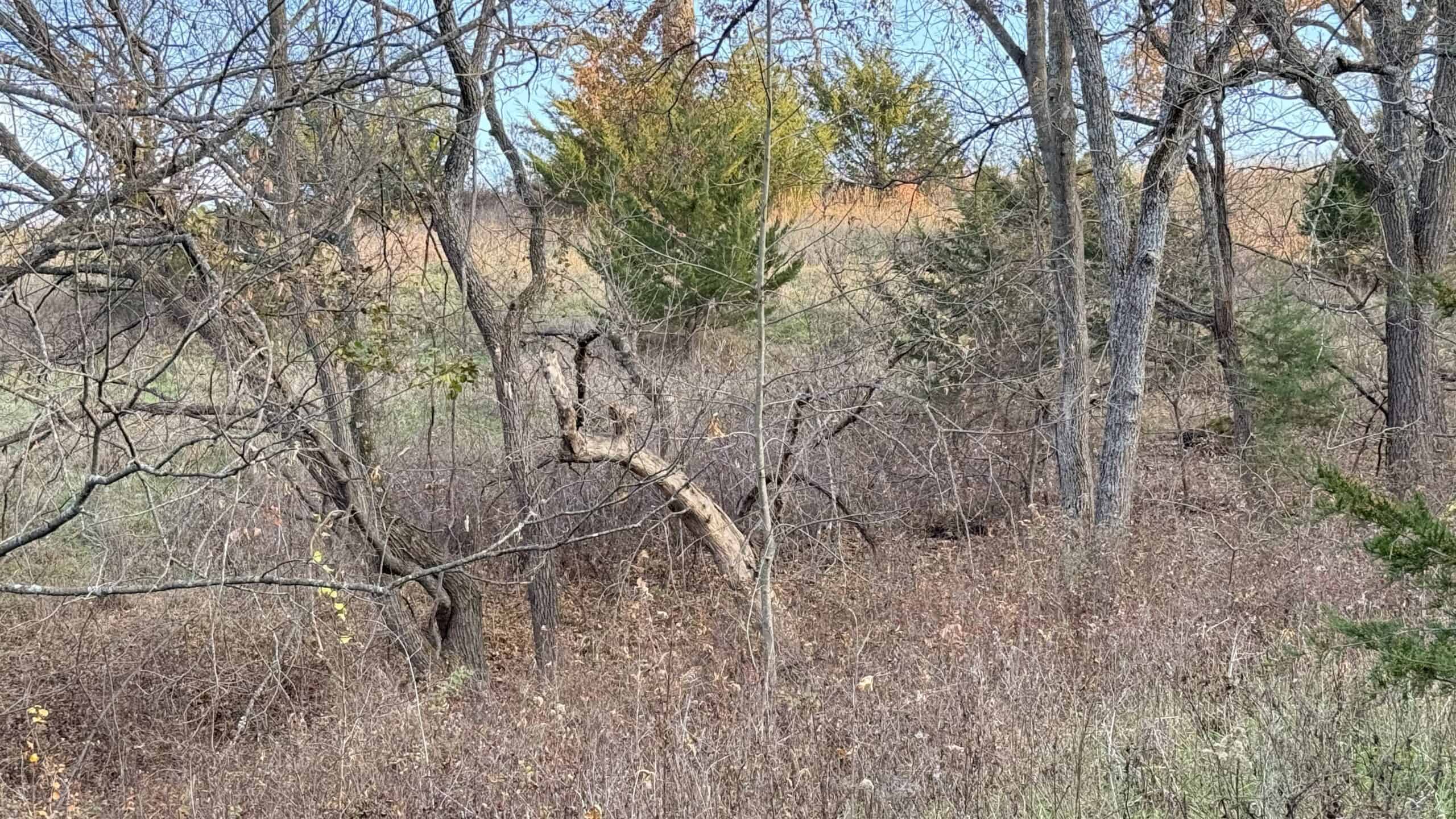 Dekalb County, Missouri • 57 Acres m/l