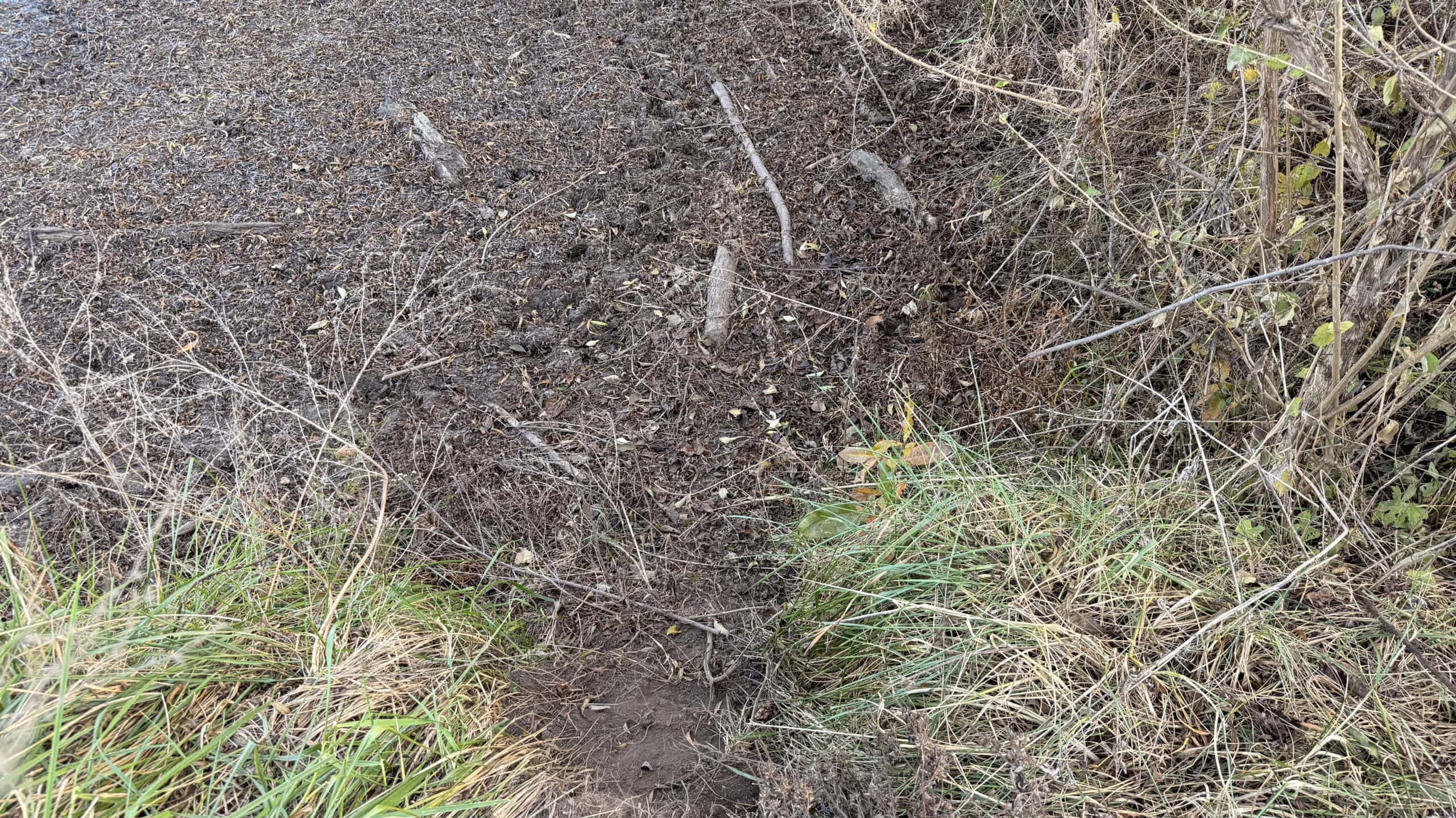 Dekalb County, Missouri • 57 Acres m/l