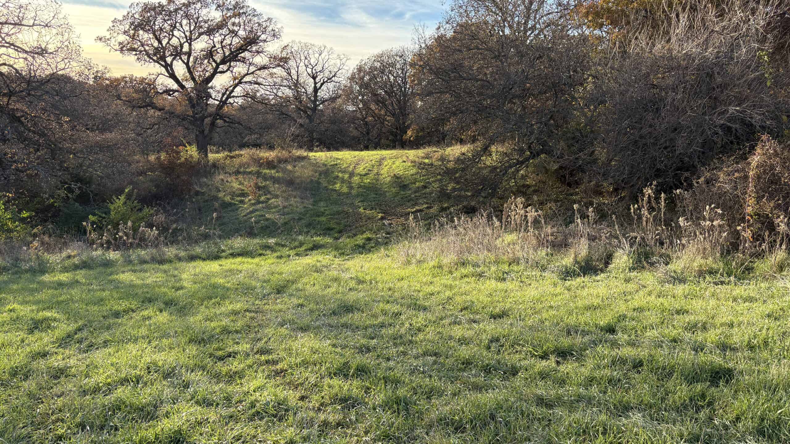 Small Tract Hunting Farm For Sale NW MO
