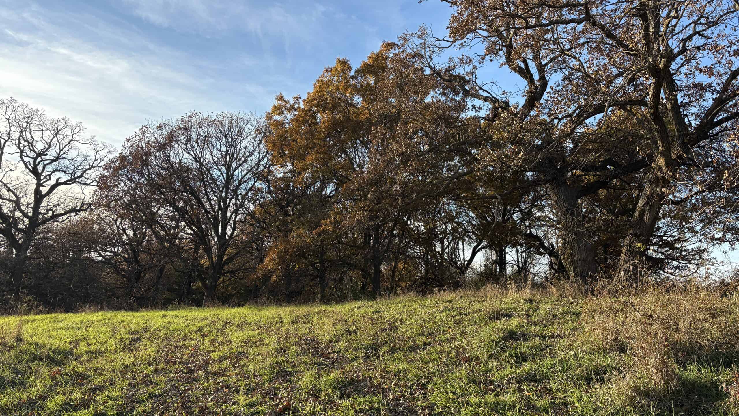 Small Tract Hunting Farm For Sale NW MO