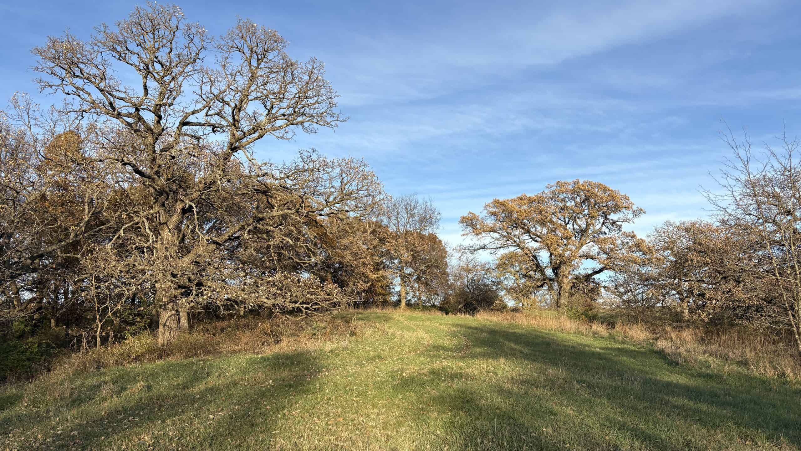 Small Tract Hunting Farm For Sale NW MO