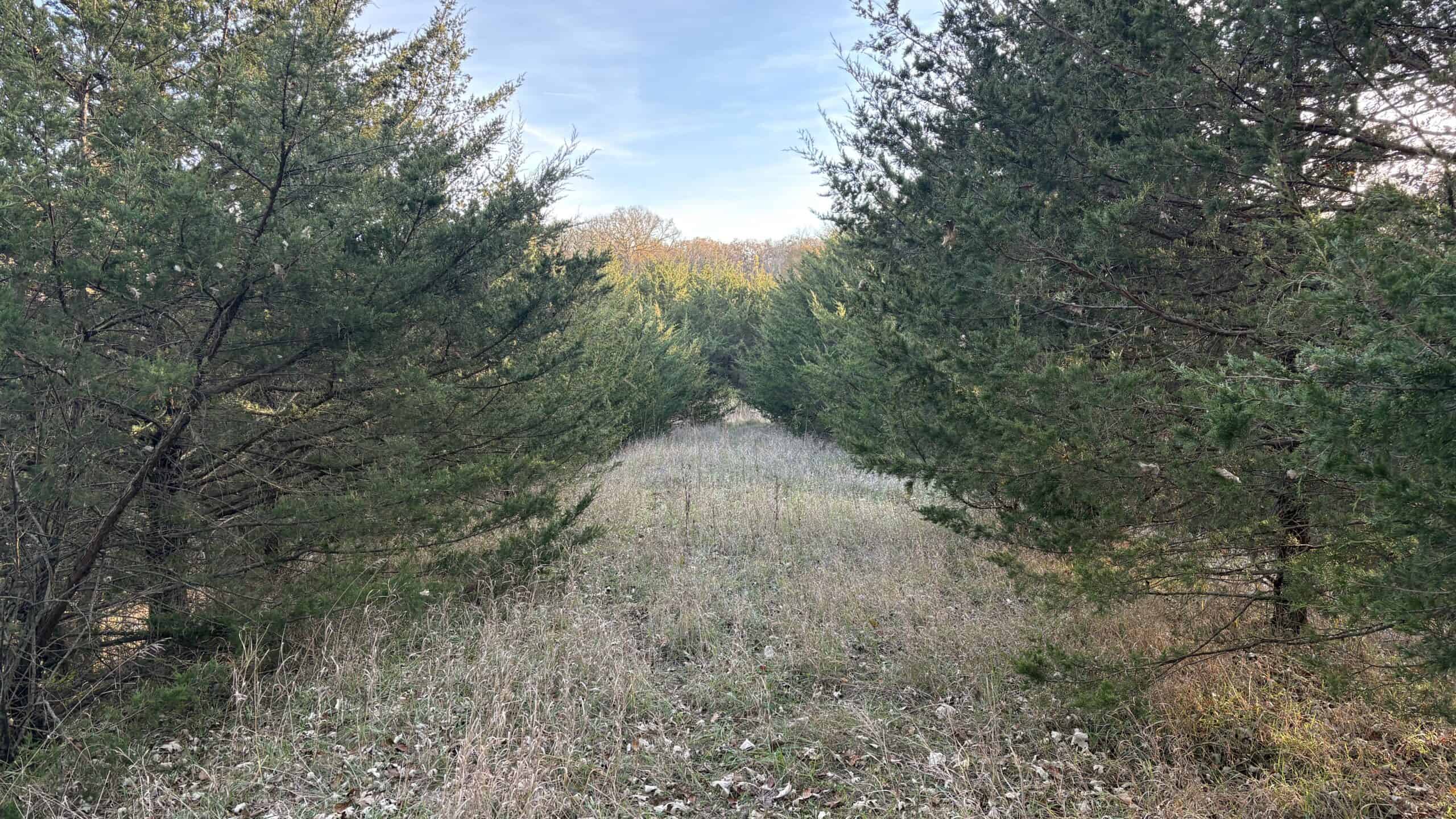 Small Tract Hunting Farm For Sale NW MO