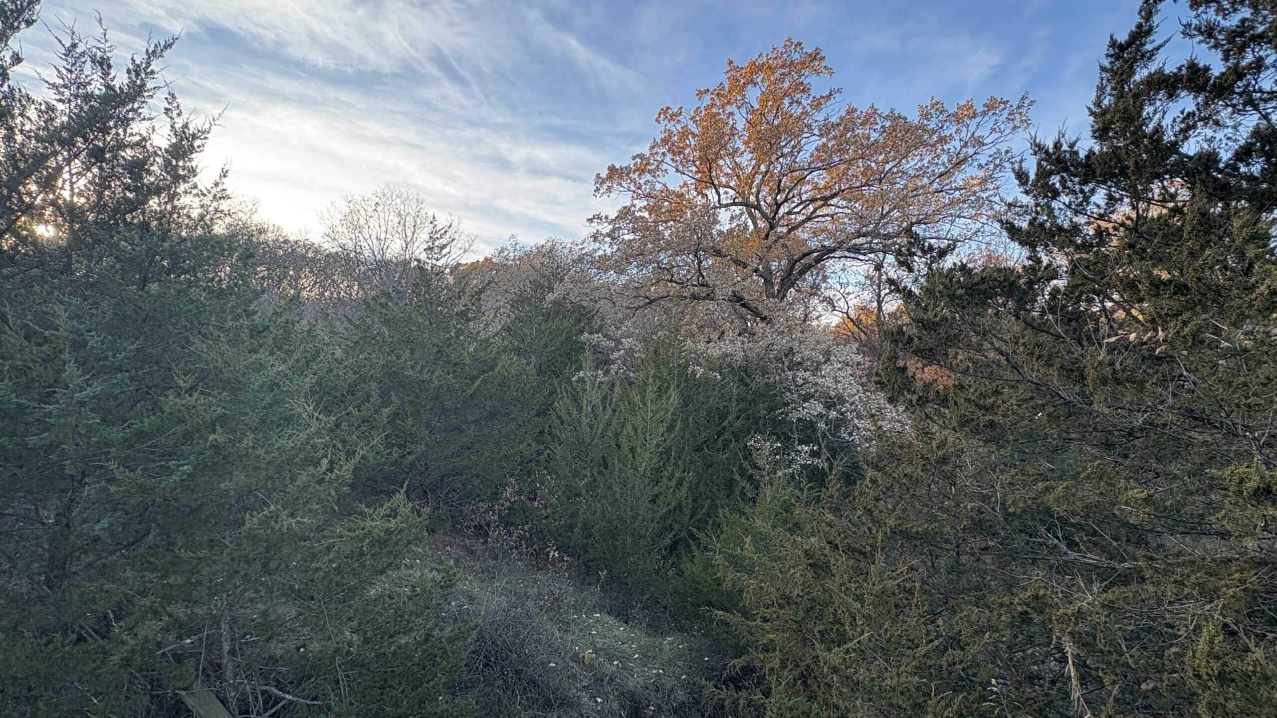 Small Tract Hunting Farm For Sale NW MO