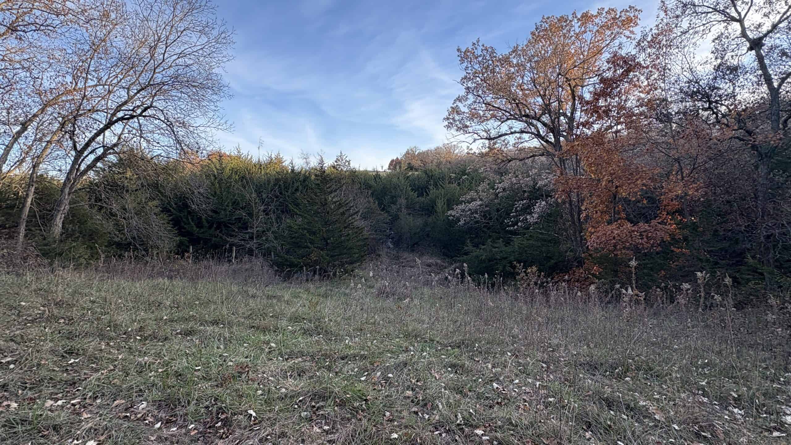 Small Tract Hunting Farm For Sale NW MO