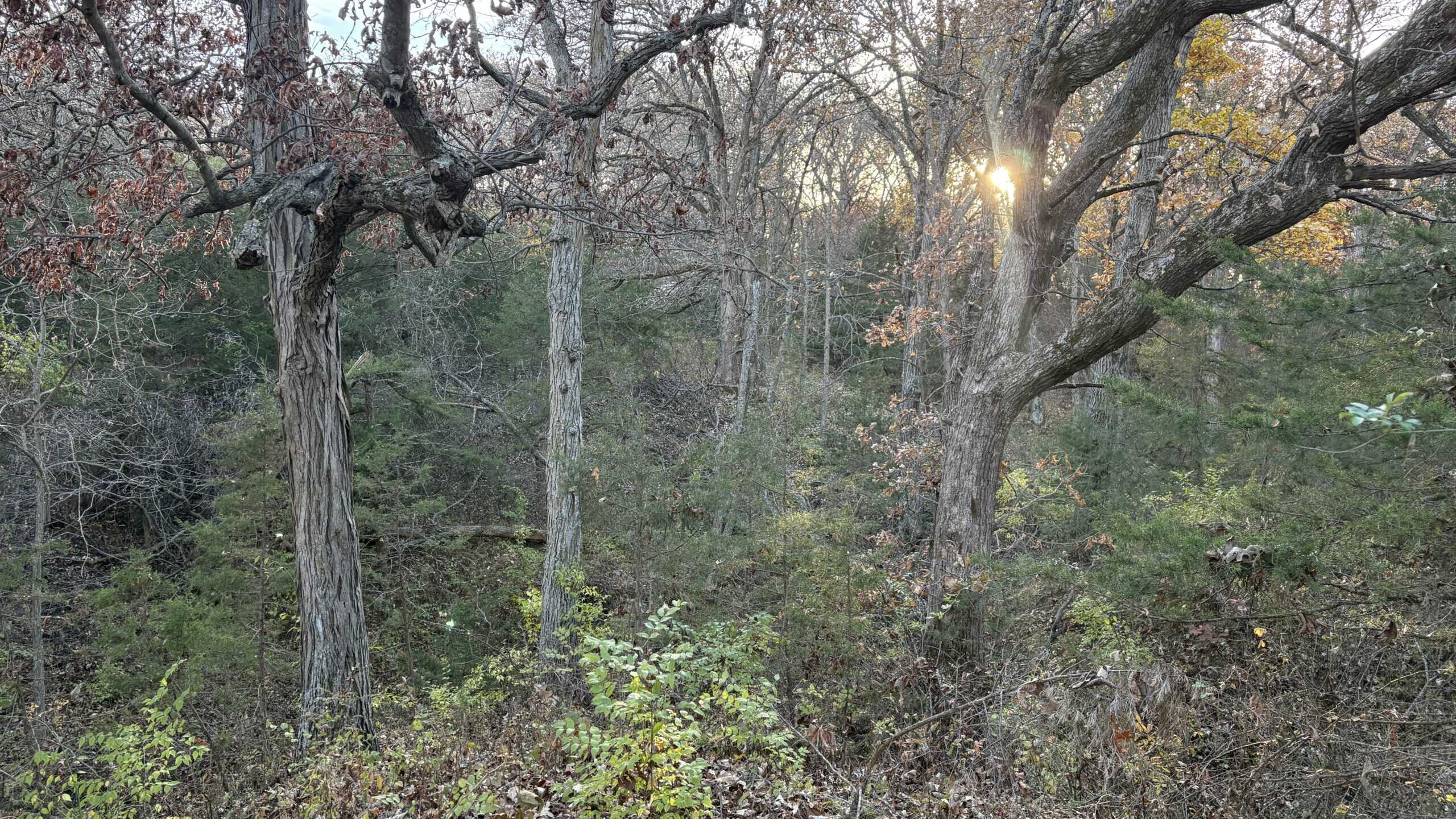 Small Tract Hunting Farm For Sale NW MO