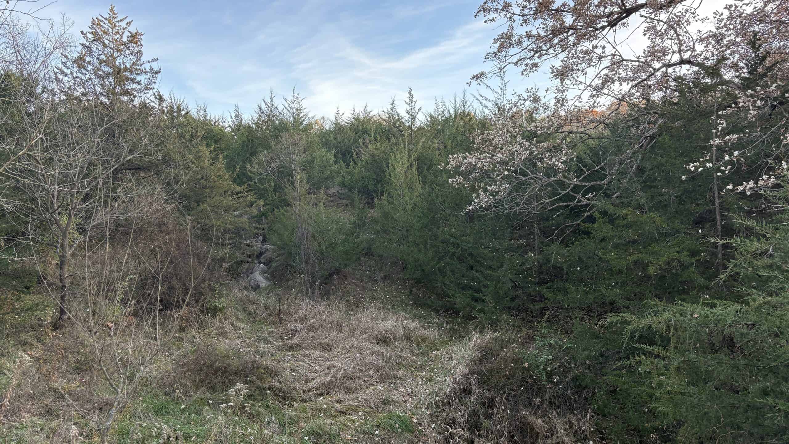 Small Tract Hunting Farm For Sale NW MO