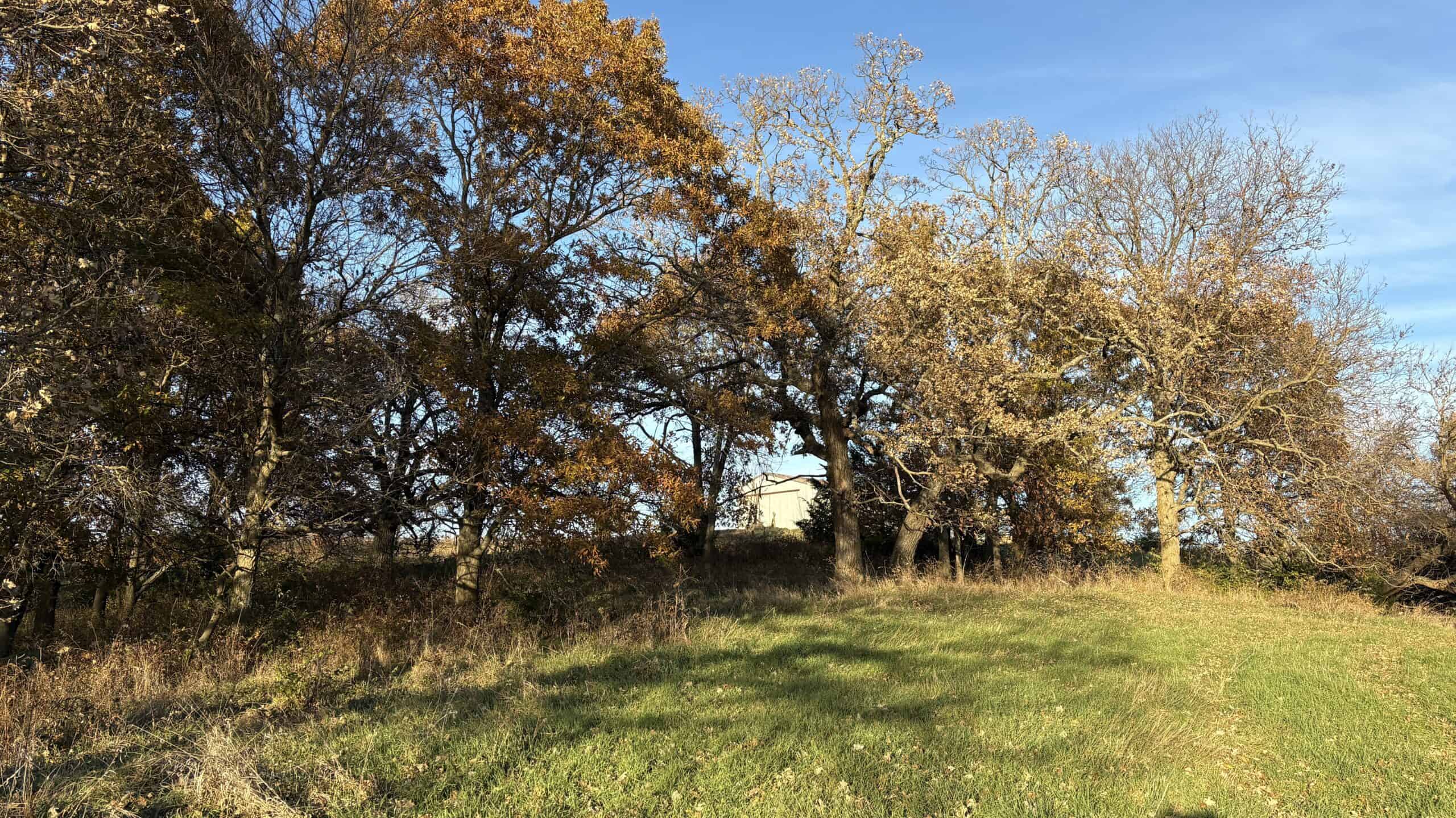 Small Tract Hunting Farm For Sale NW MO