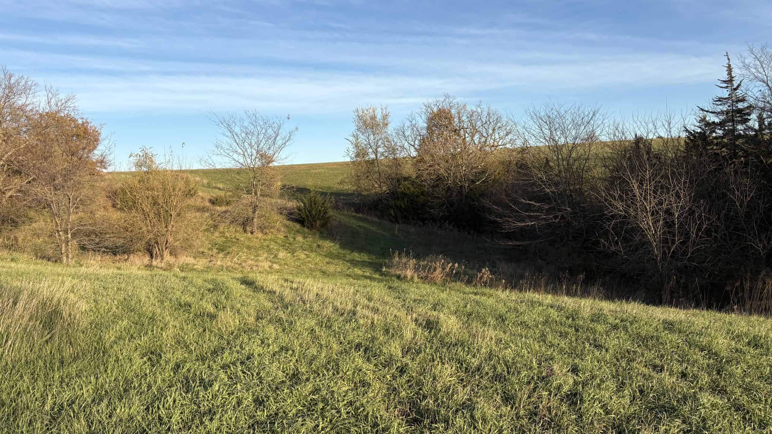 Small Tract Hunting Farm For Sale NW MO
