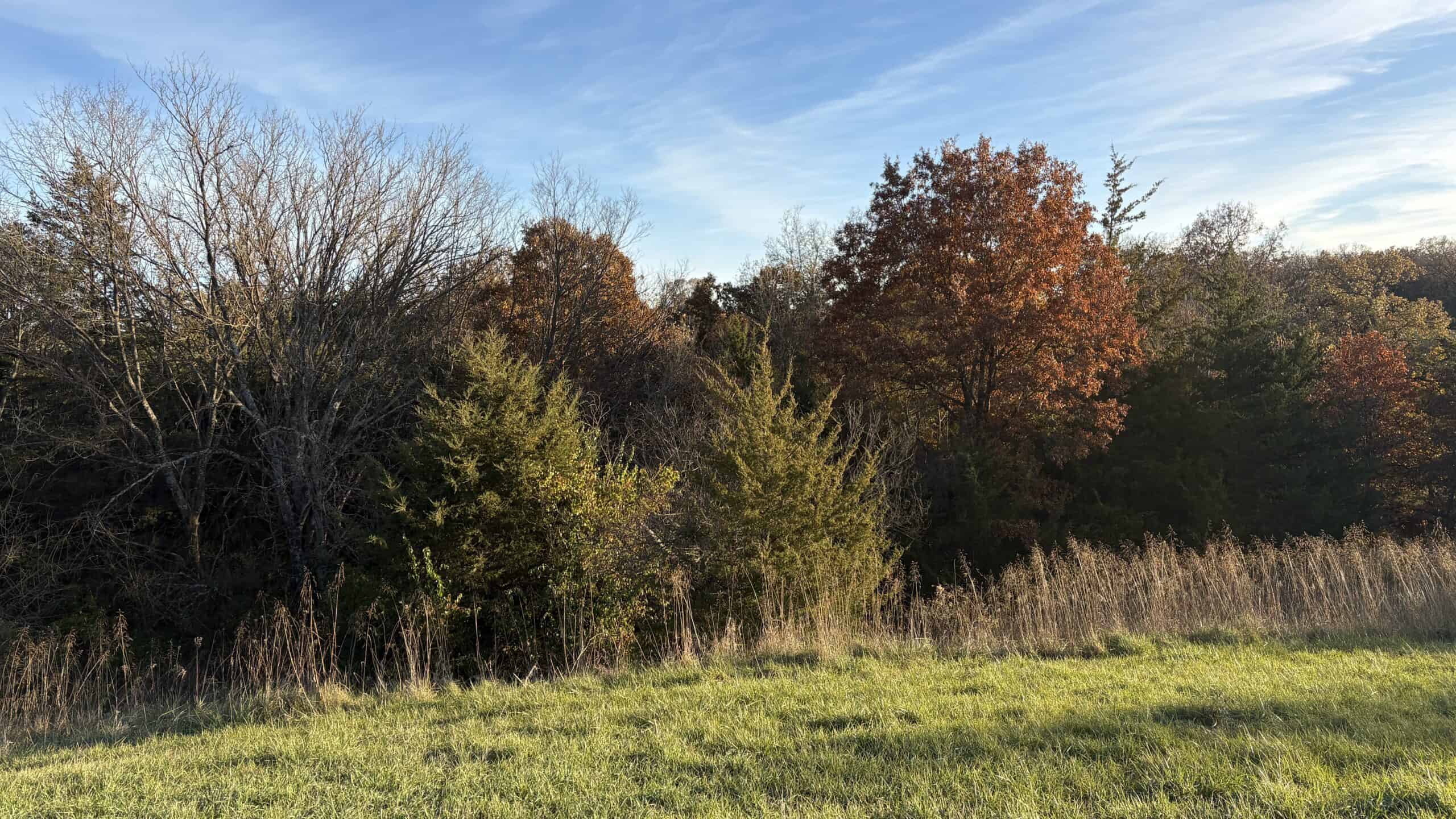 Small Tract Hunting Farm For Sale NW MO