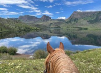 Premier Colorado Wilderness Lodge & Big Game Outfitter for Sale