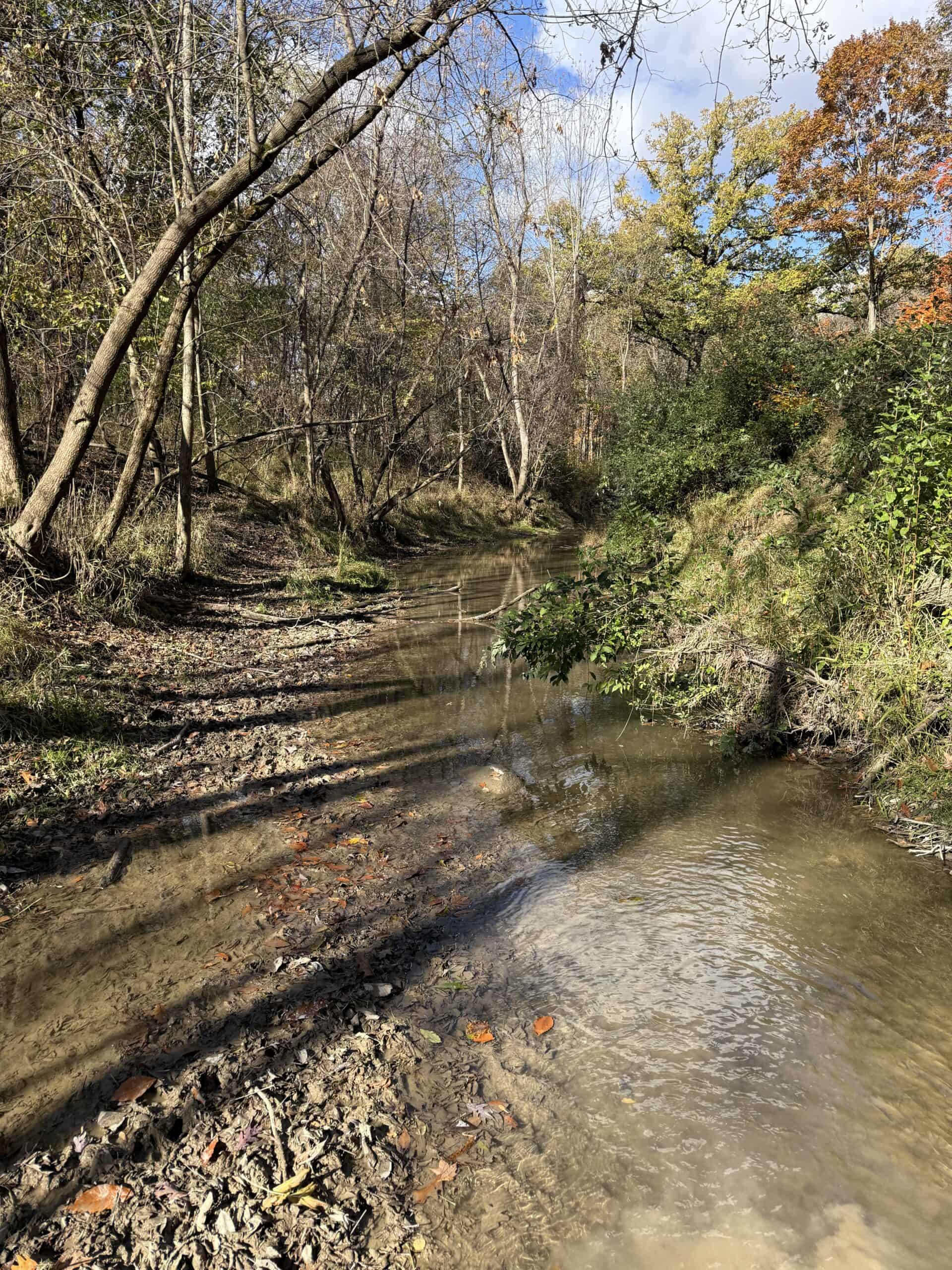 Hunting land for sale in Michigan, Hunting land for sale in Saginaw County