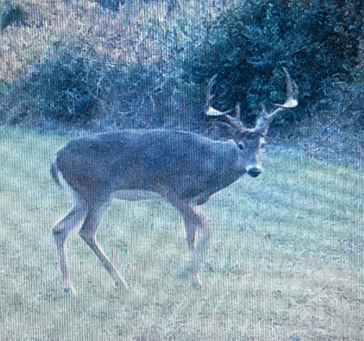 Hunting land for sale in Michigan, Hunting land for sale in Saginaw County