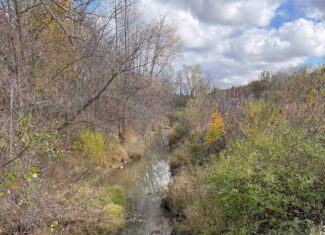 Hunting land for sale in Michigan, Hunting land for sale in Saginaw County