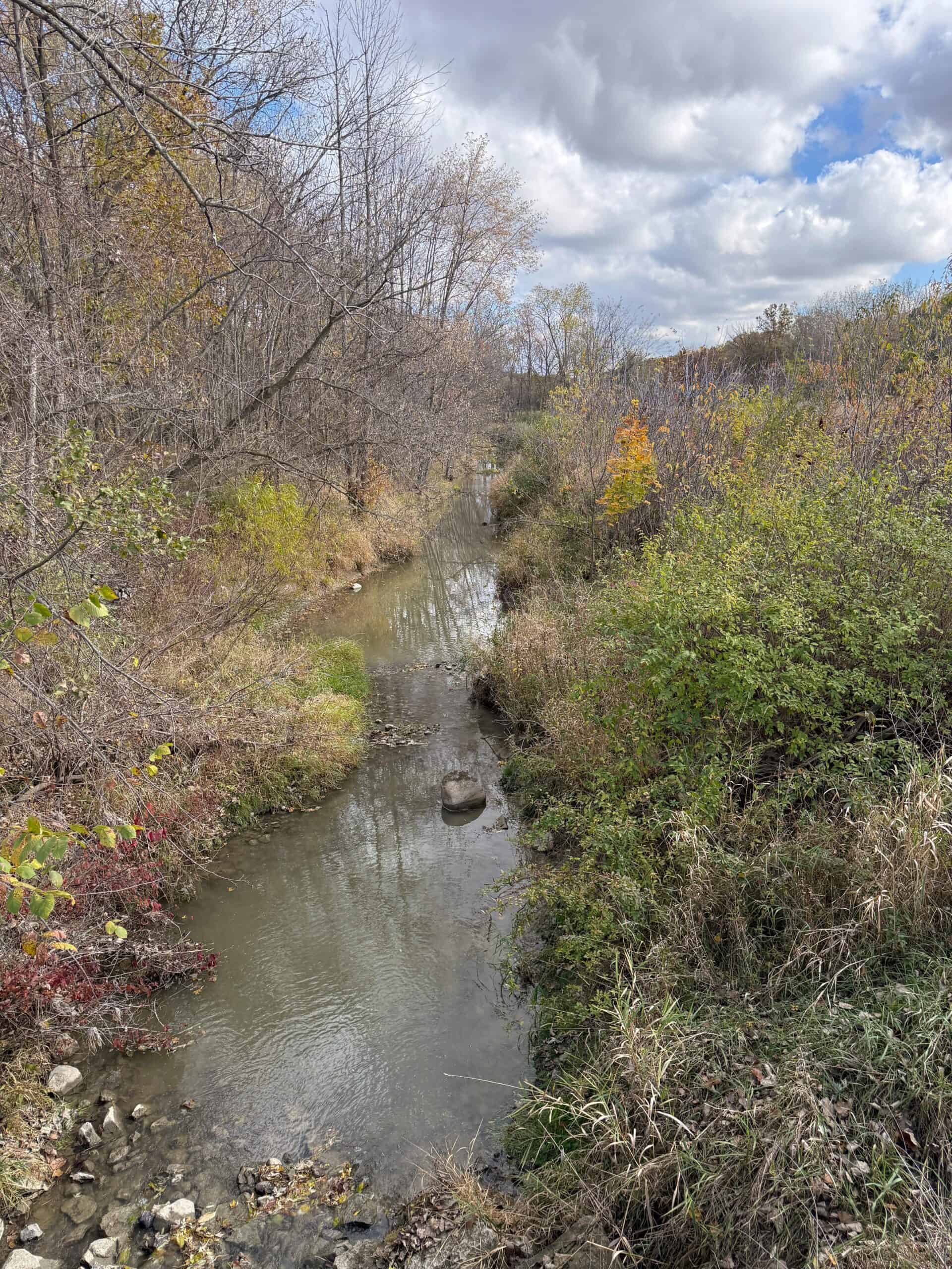 Hunting land for sale in Michigan, Hunting land for sale in Saginaw County