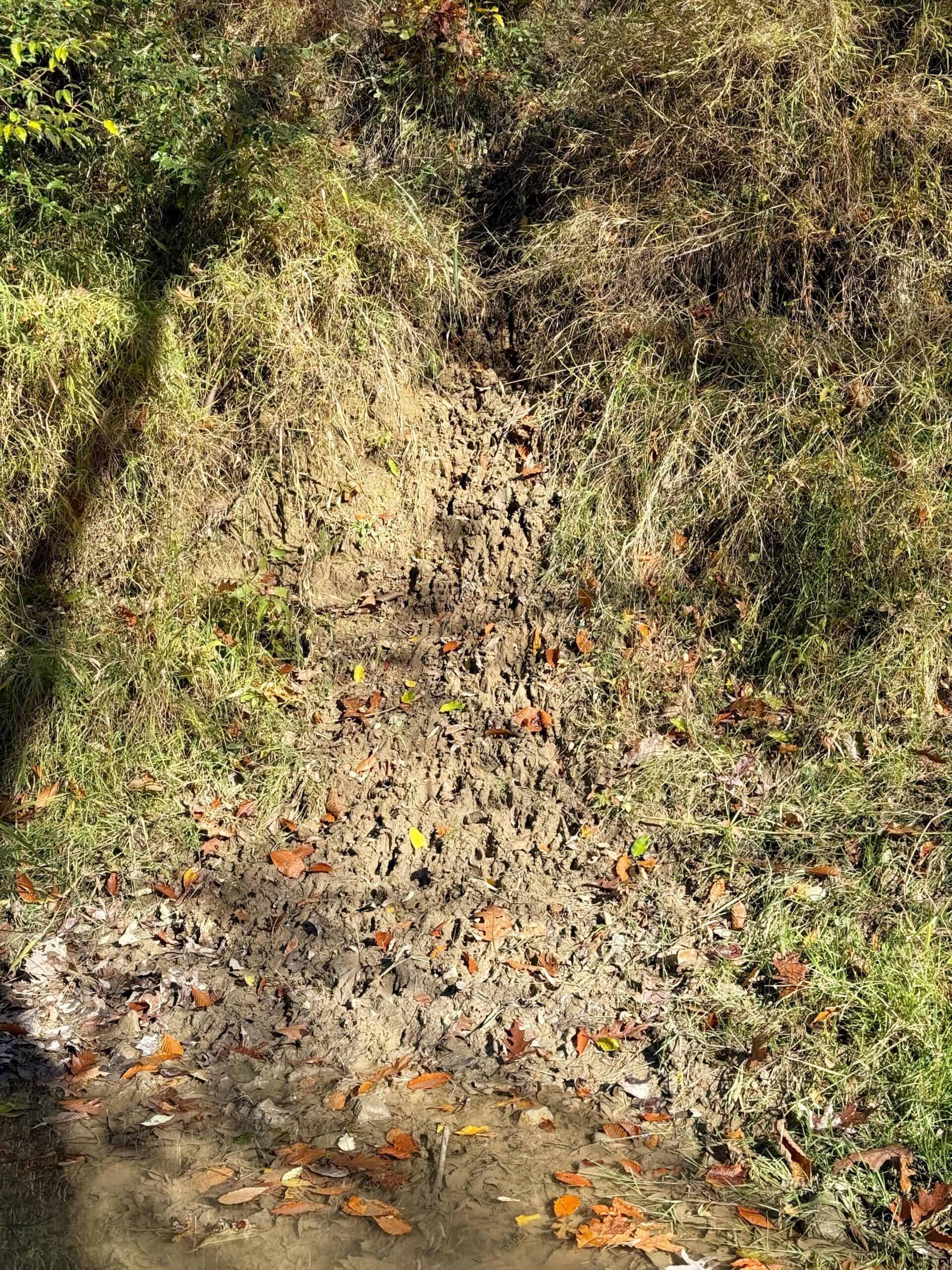 Hunting land for sale in Michigan, Hunting land for sale in Saginaw County