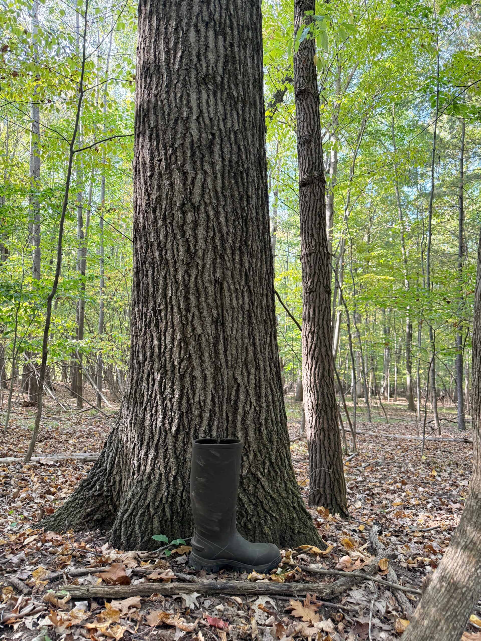 Hunting land for sale in Michigan, Hunting land for sale in Saginaw County