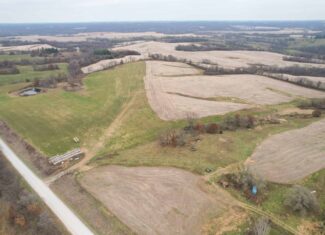 Quality Row Crop & Building Site Opportunity | North of Albia, Iowa