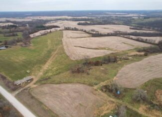 Quality Row Crop & Building Site Opportunity | North of Albia, Iowa