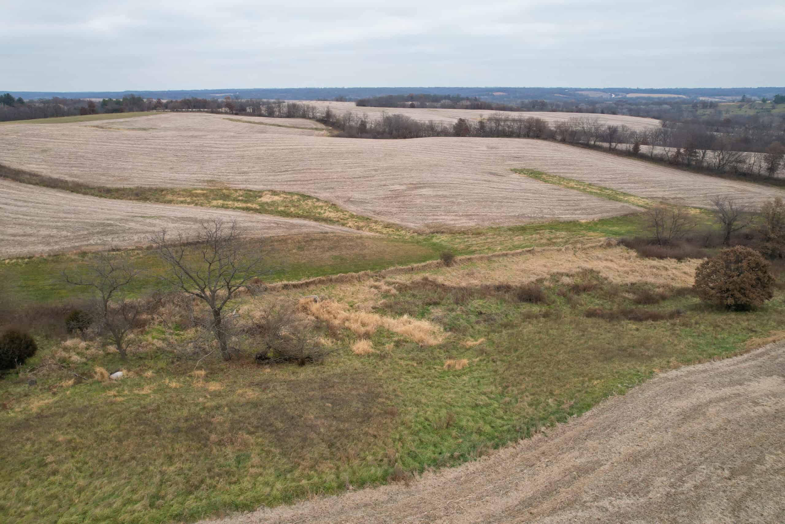 Quality Row Crop & Building Site Opportunity | North of Albia, Iowa