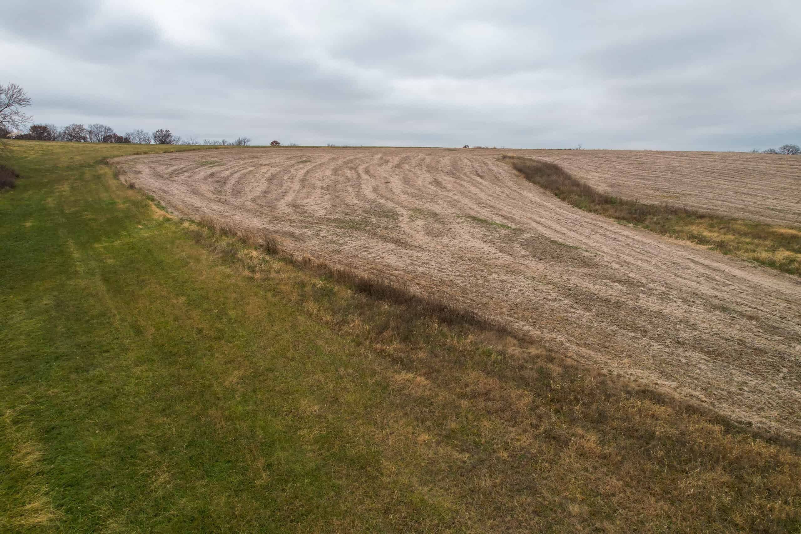 Quality Row Crop & Building Site Opportunity | North of Albia, Iowa