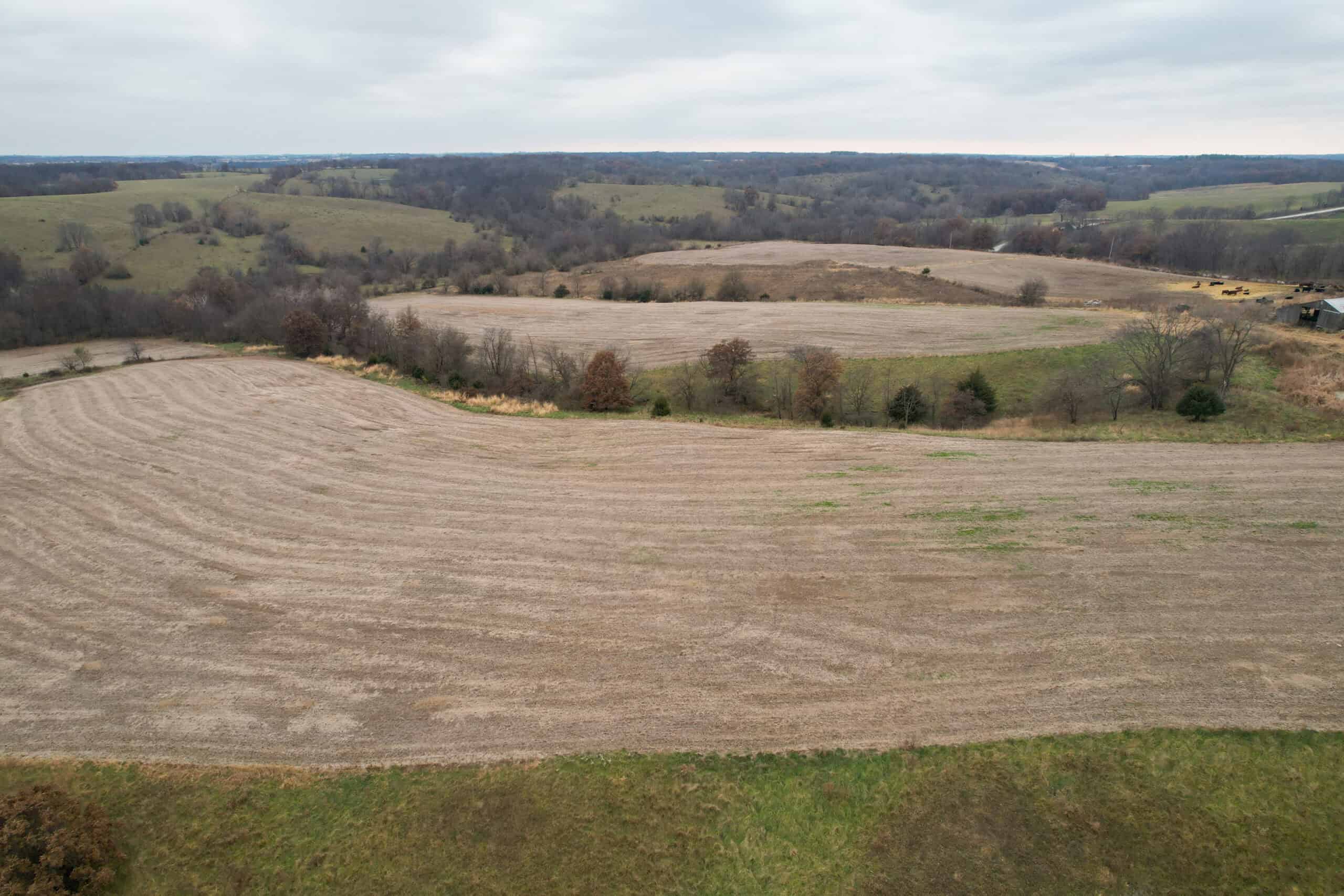 115± Acres in Premier Monroe County, Iowa Whitetail Neighborhood