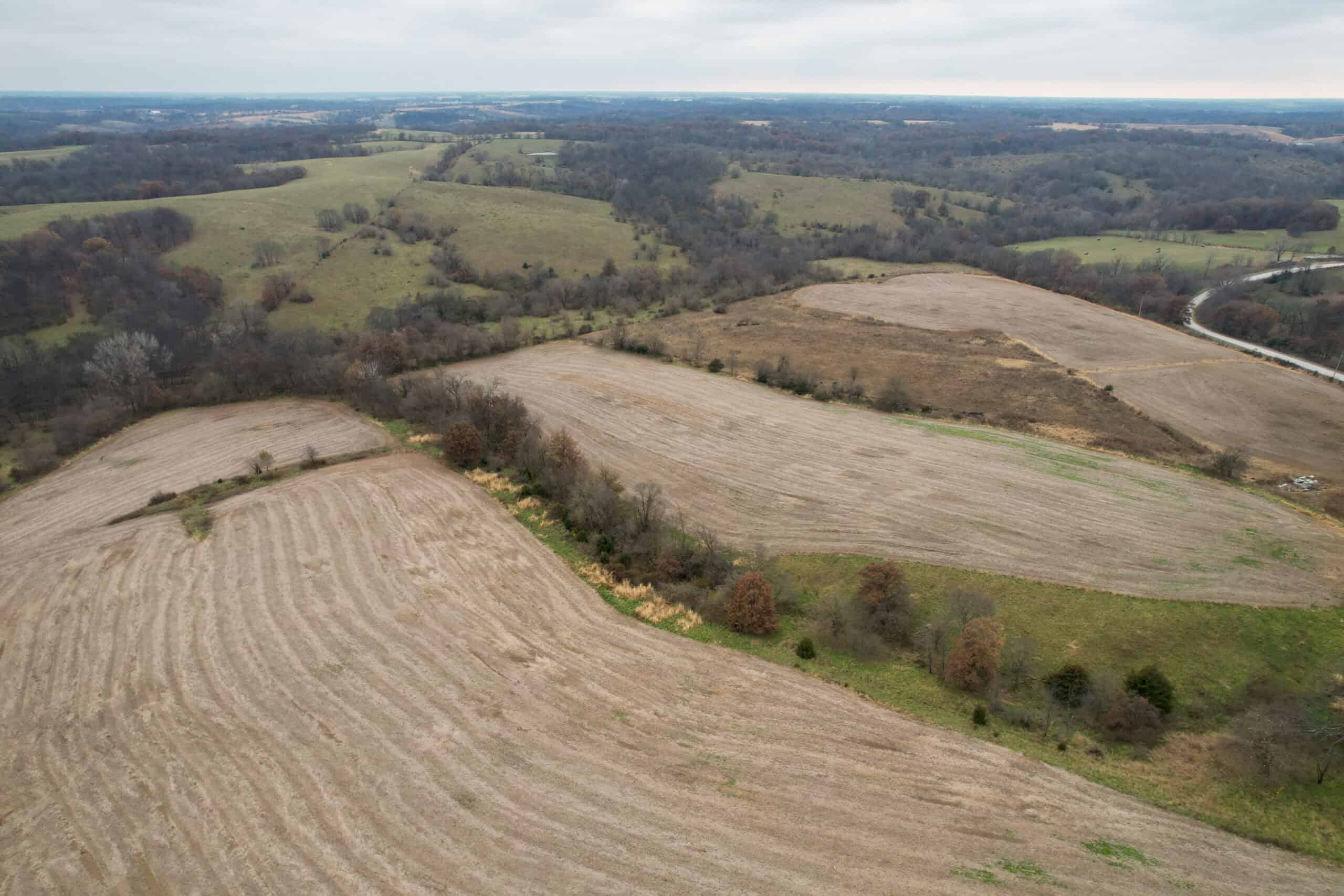 115± Acres in Premier Monroe County, Iowa Whitetail Neighborhood