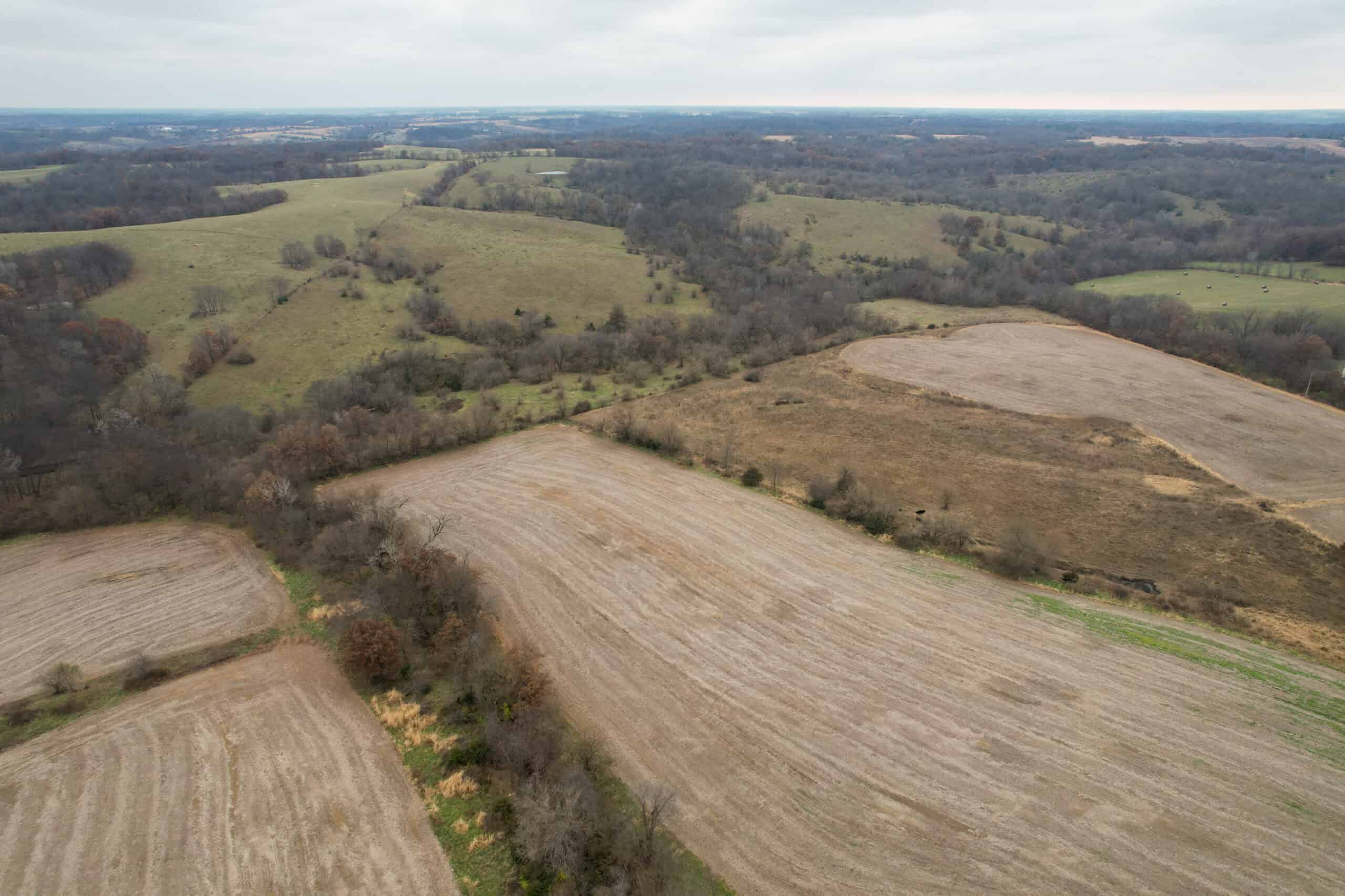 115± Acres in Premier Monroe County, Iowa Whitetail Neighborhood