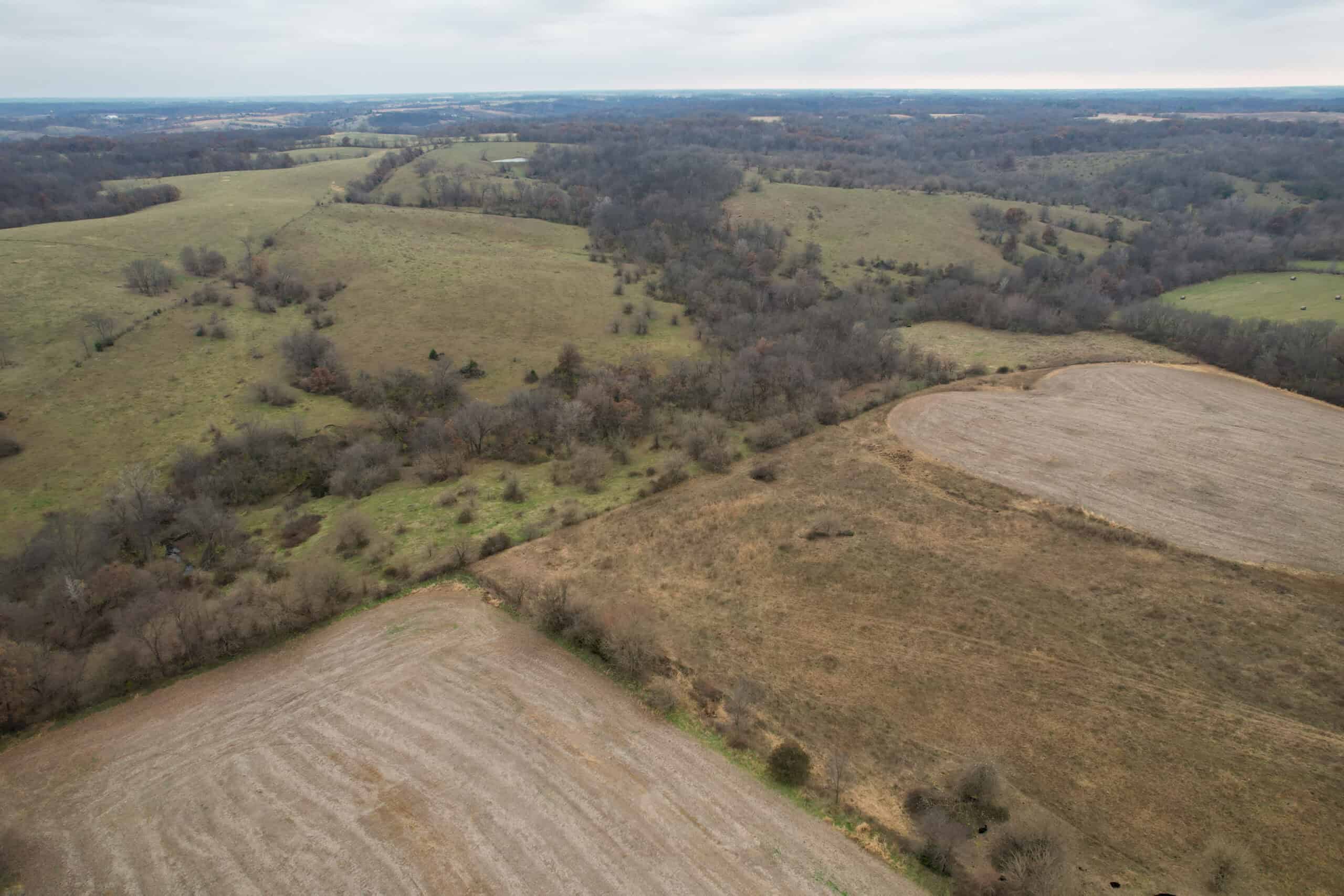115± Acres in Premier Monroe County, Iowa Whitetail Neighborhood
