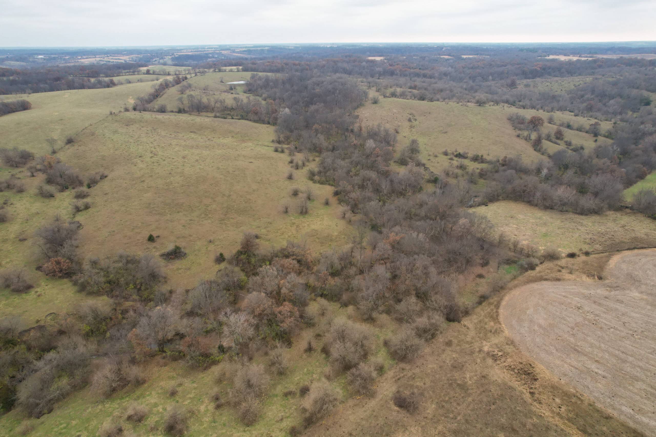 115± Acres in Premier Monroe County, Iowa Whitetail Neighborhood