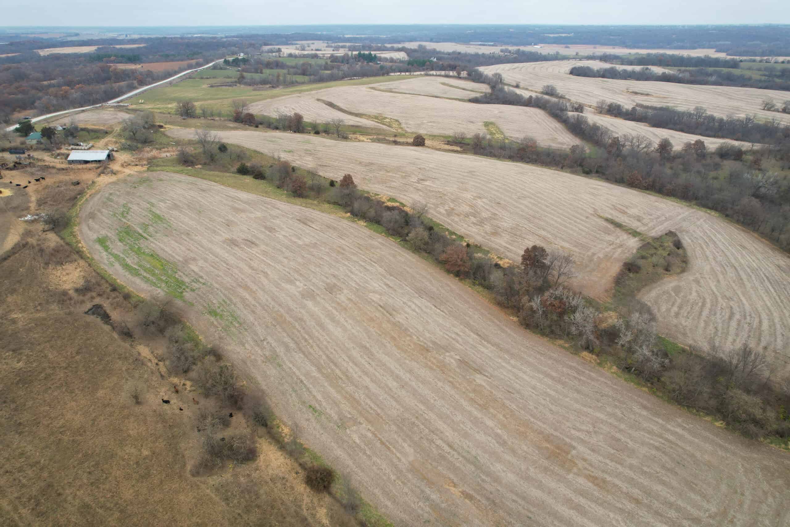 115± Acres in Premier Monroe County, Iowa Whitetail Neighborhood
