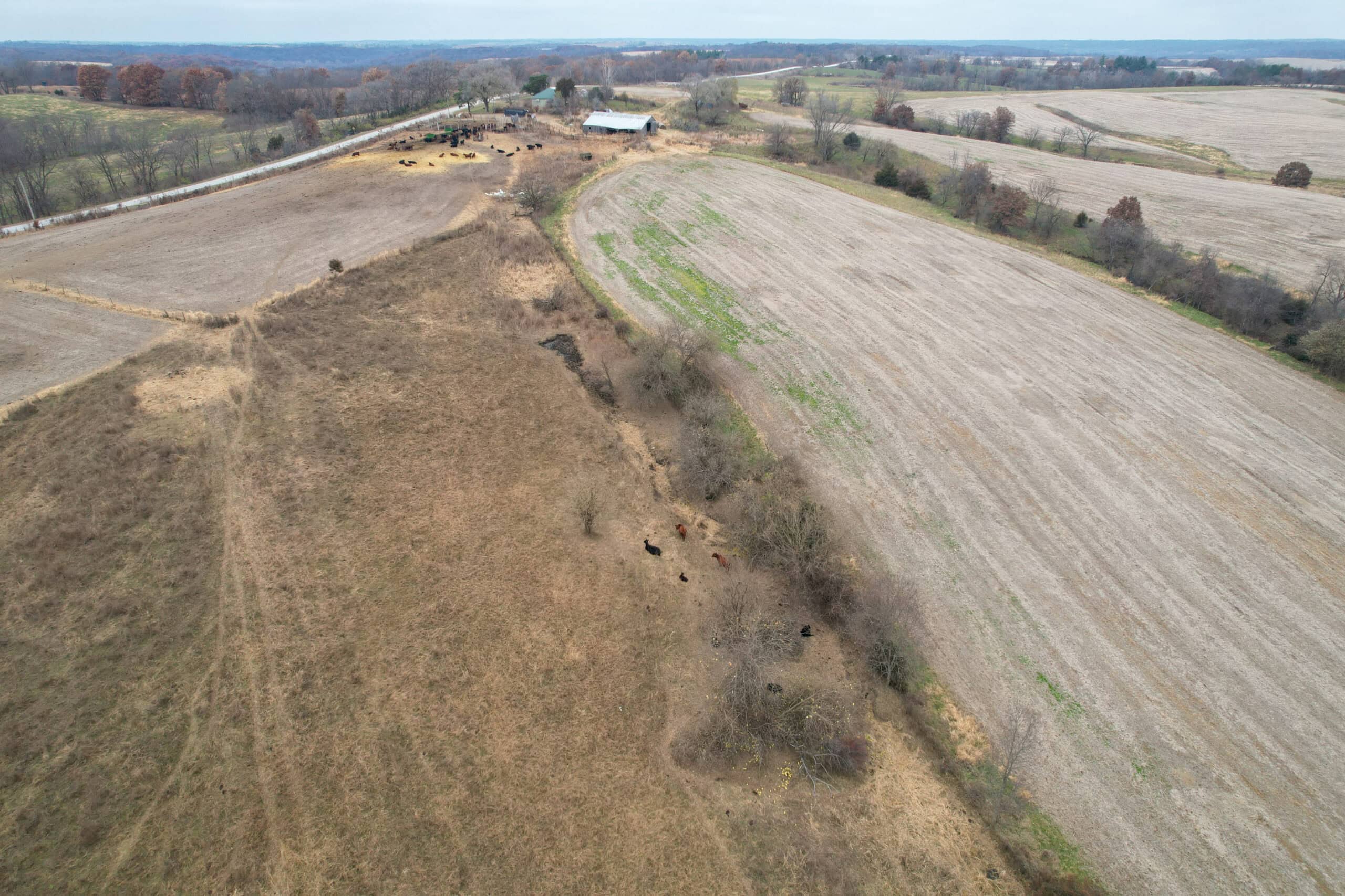 115± Acres in Premier Monroe County, Iowa Whitetail Neighborhood