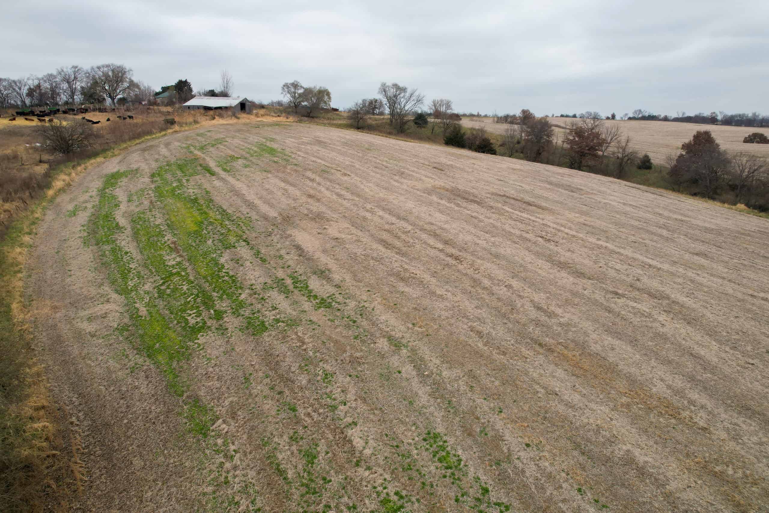 115± Acres in Premier Monroe County, Iowa Whitetail Neighborhood