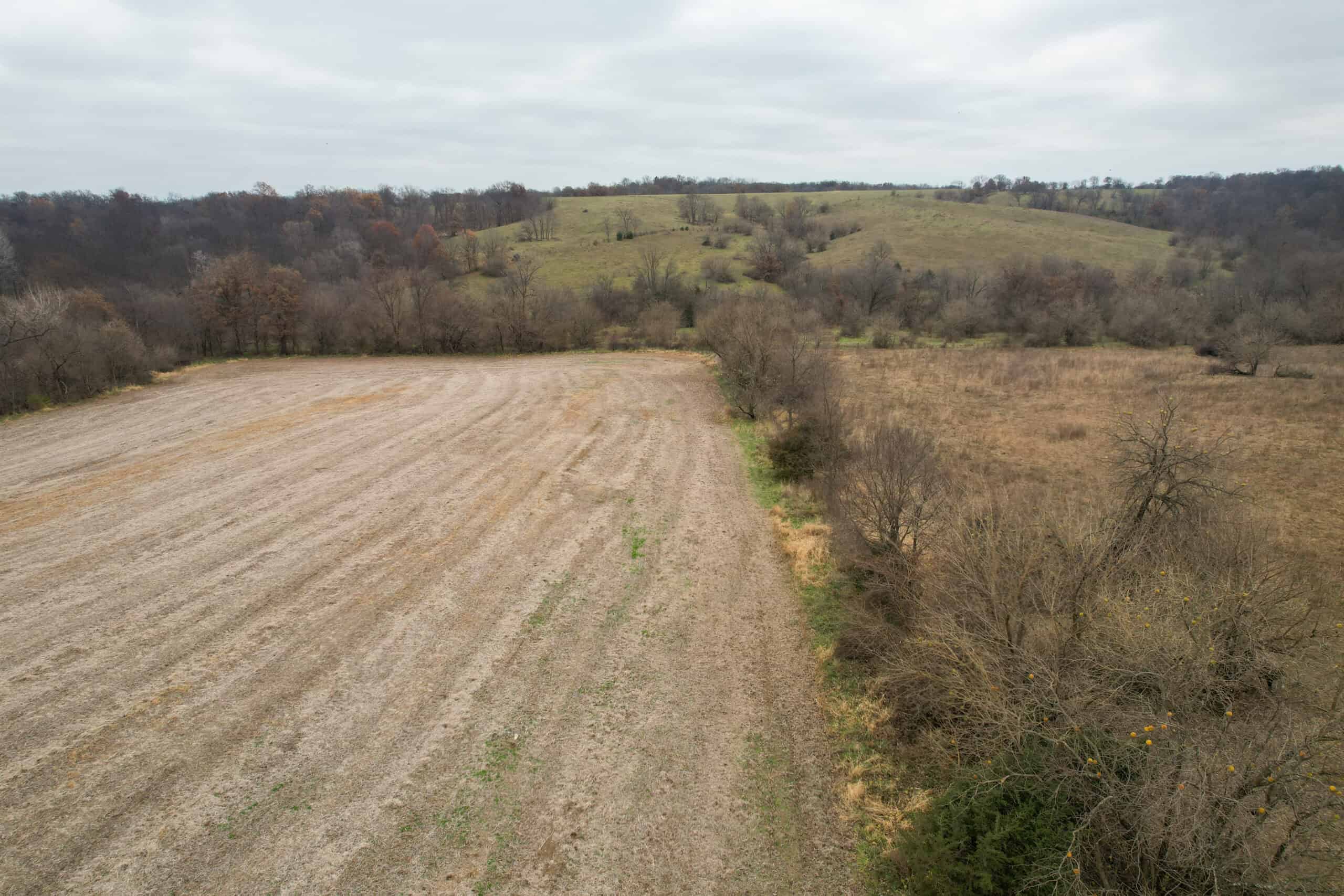 115± Acres in Premier Monroe County, Iowa Whitetail Neighborhood