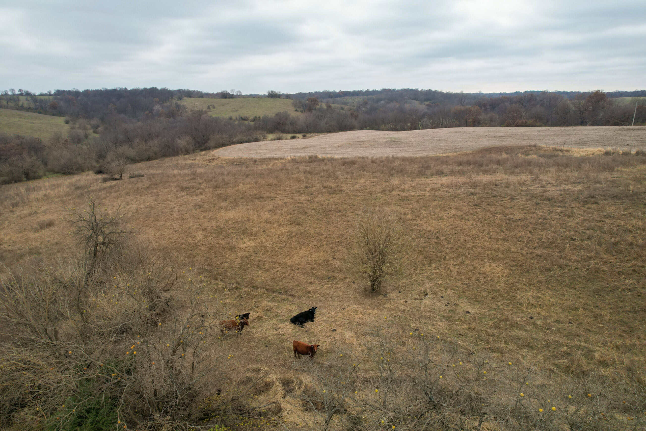 115± Acres in Premier Monroe County, Iowa Whitetail Neighborhood