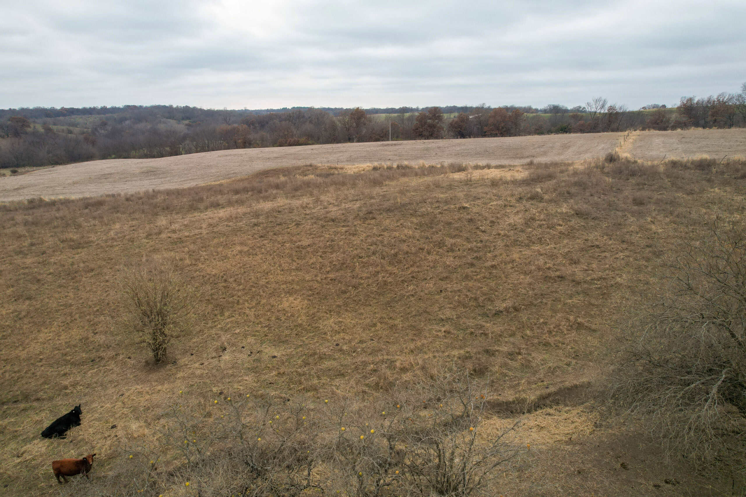 115± Acres in Premier Monroe County, Iowa Whitetail Neighborhood
