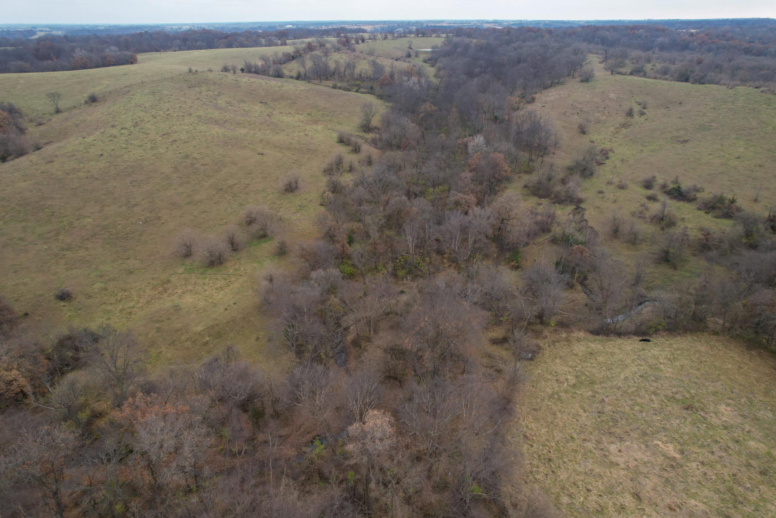 115± Acres in Premier Monroe County, Iowa Whitetail Neighborhood