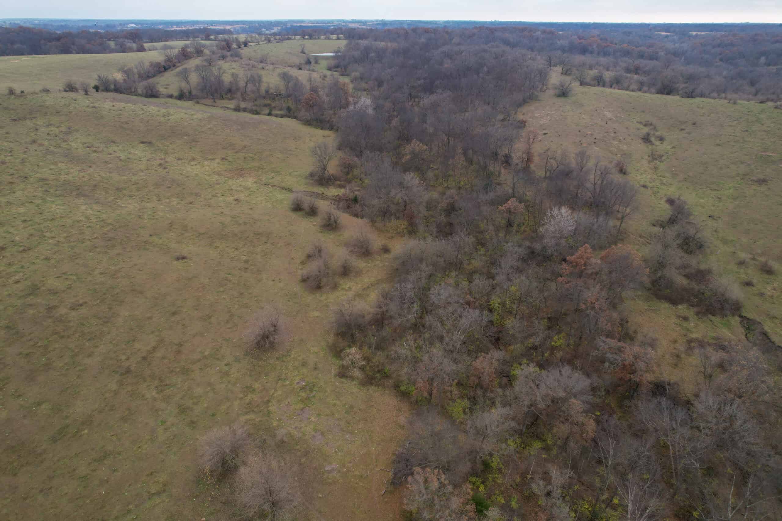 115± Acres in Premier Monroe County, Iowa Whitetail Neighborhood