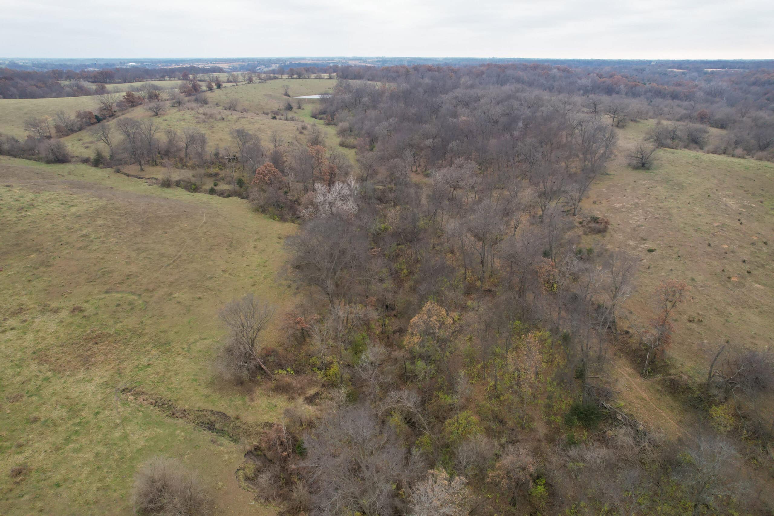 115± Acres in Premier Monroe County, Iowa Whitetail Neighborhood