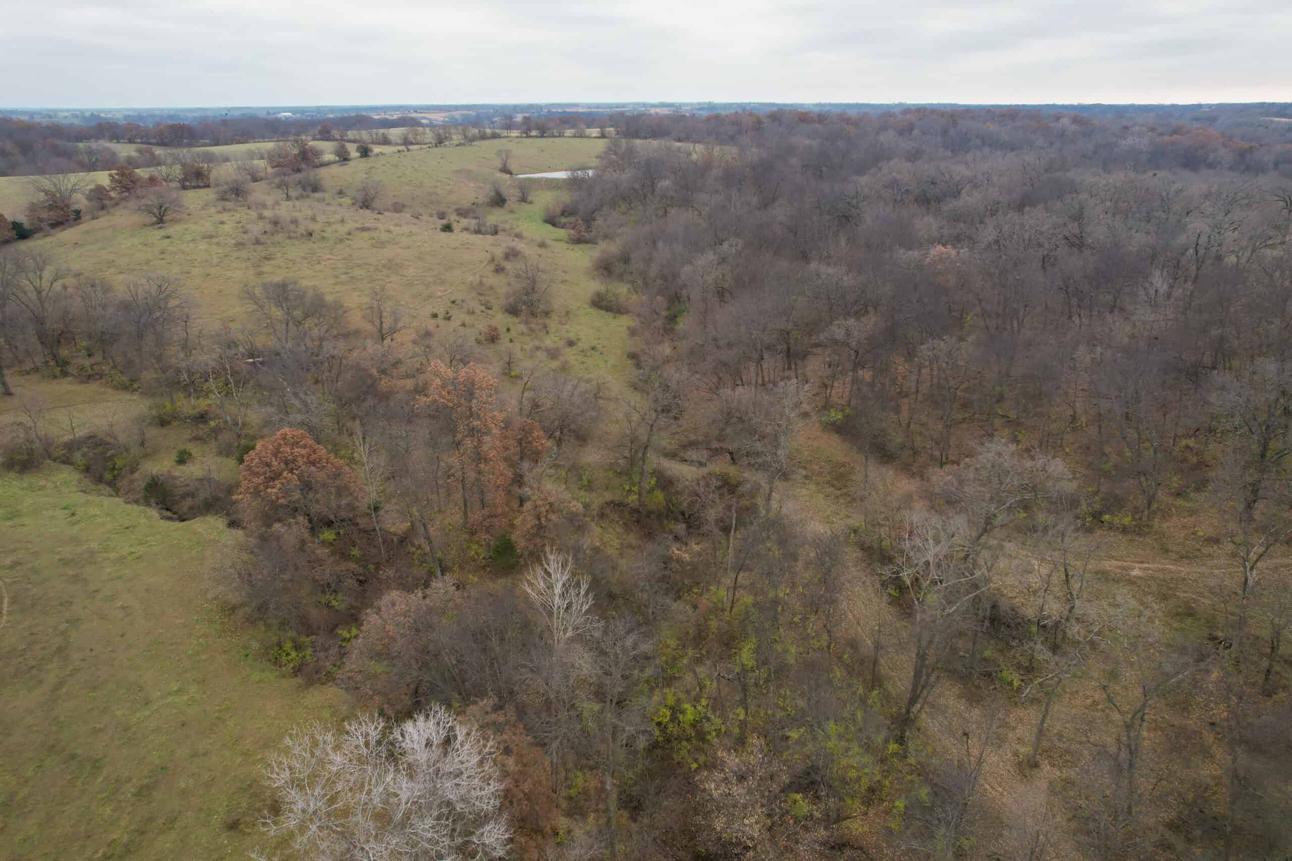 115± Acres in Premier Monroe County, Iowa Whitetail Neighborhood