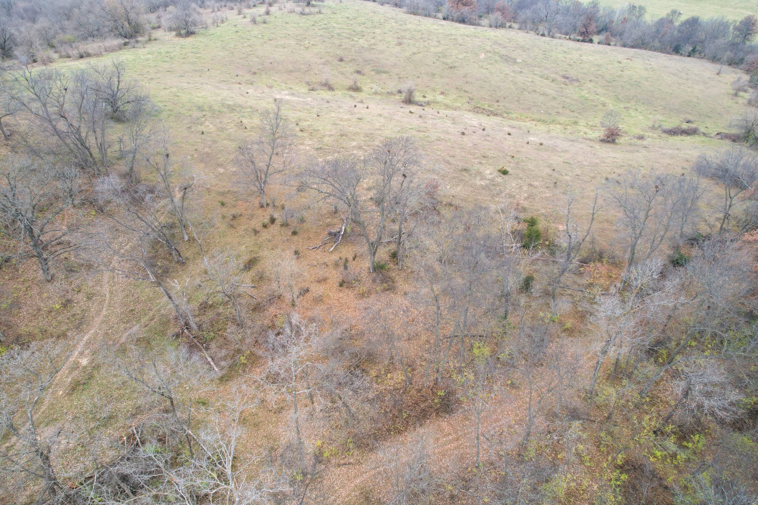 115± Acres in Premier Monroe County, Iowa Whitetail Neighborhood